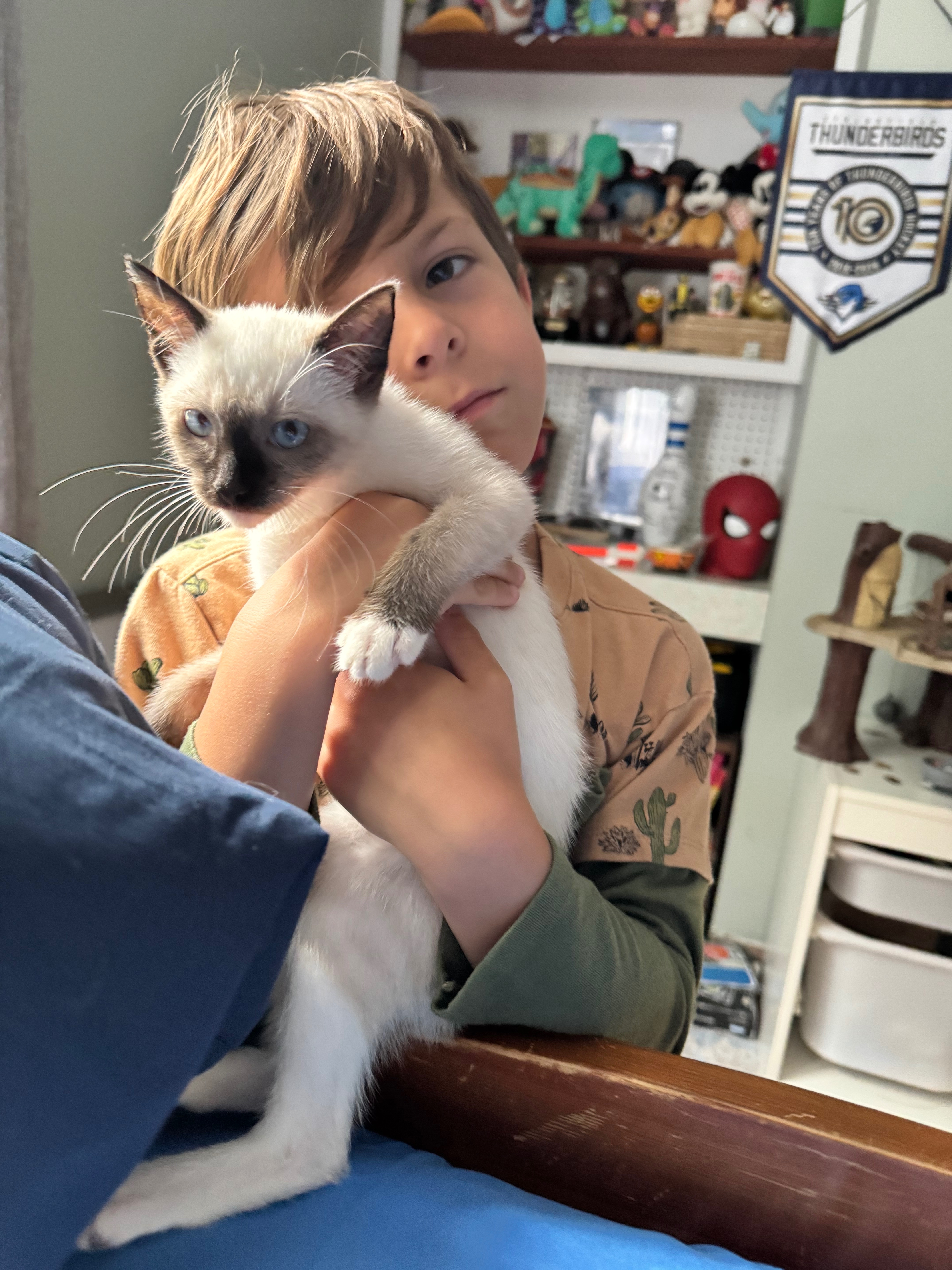 Help My Rescue Kitten KoKo Fight Panleukopenia campaign photo, 6 of 8