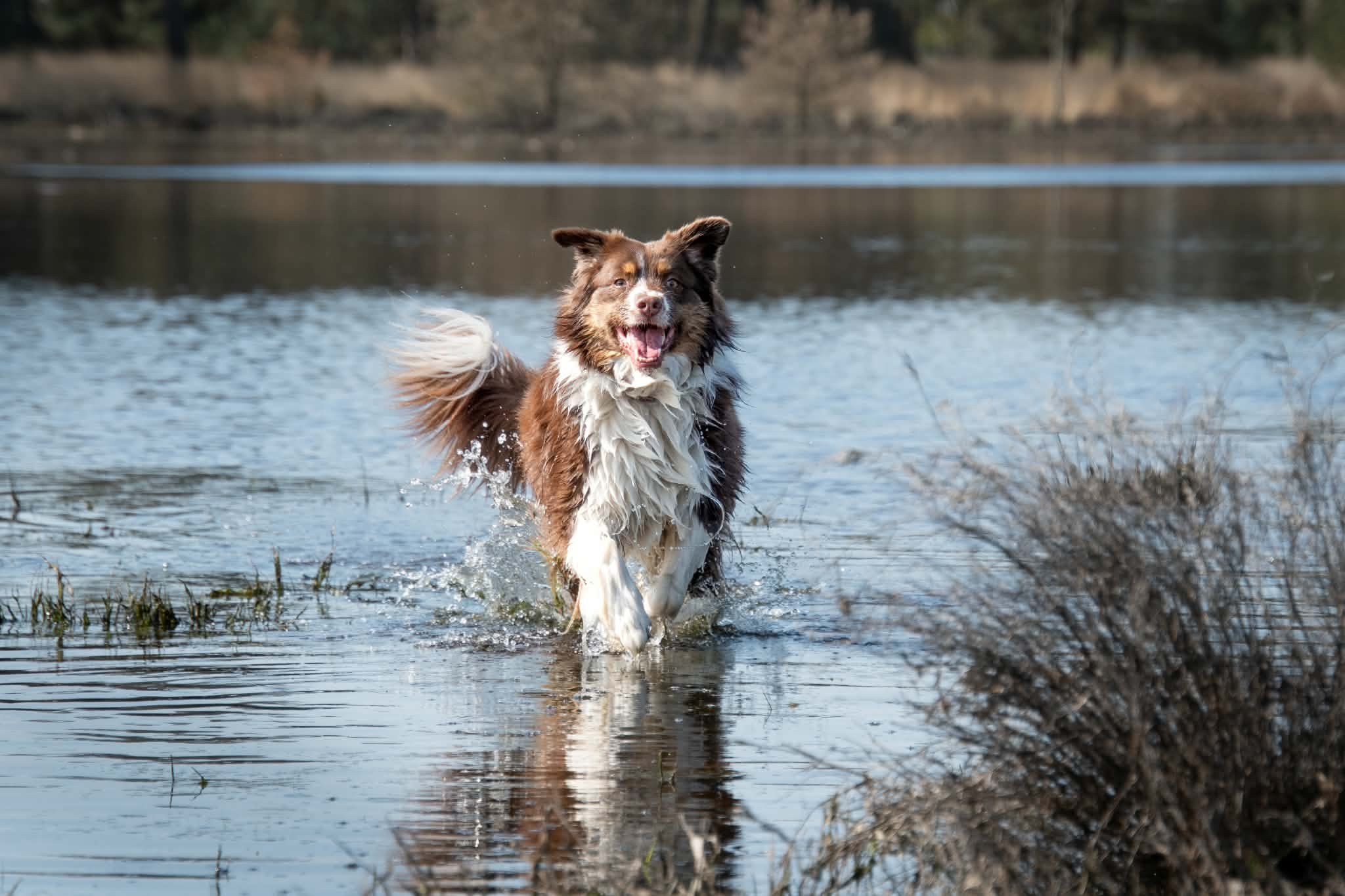 Foto van campagne Help Maple verder in haar strijd tegen kanker ❤️, 5 van 7