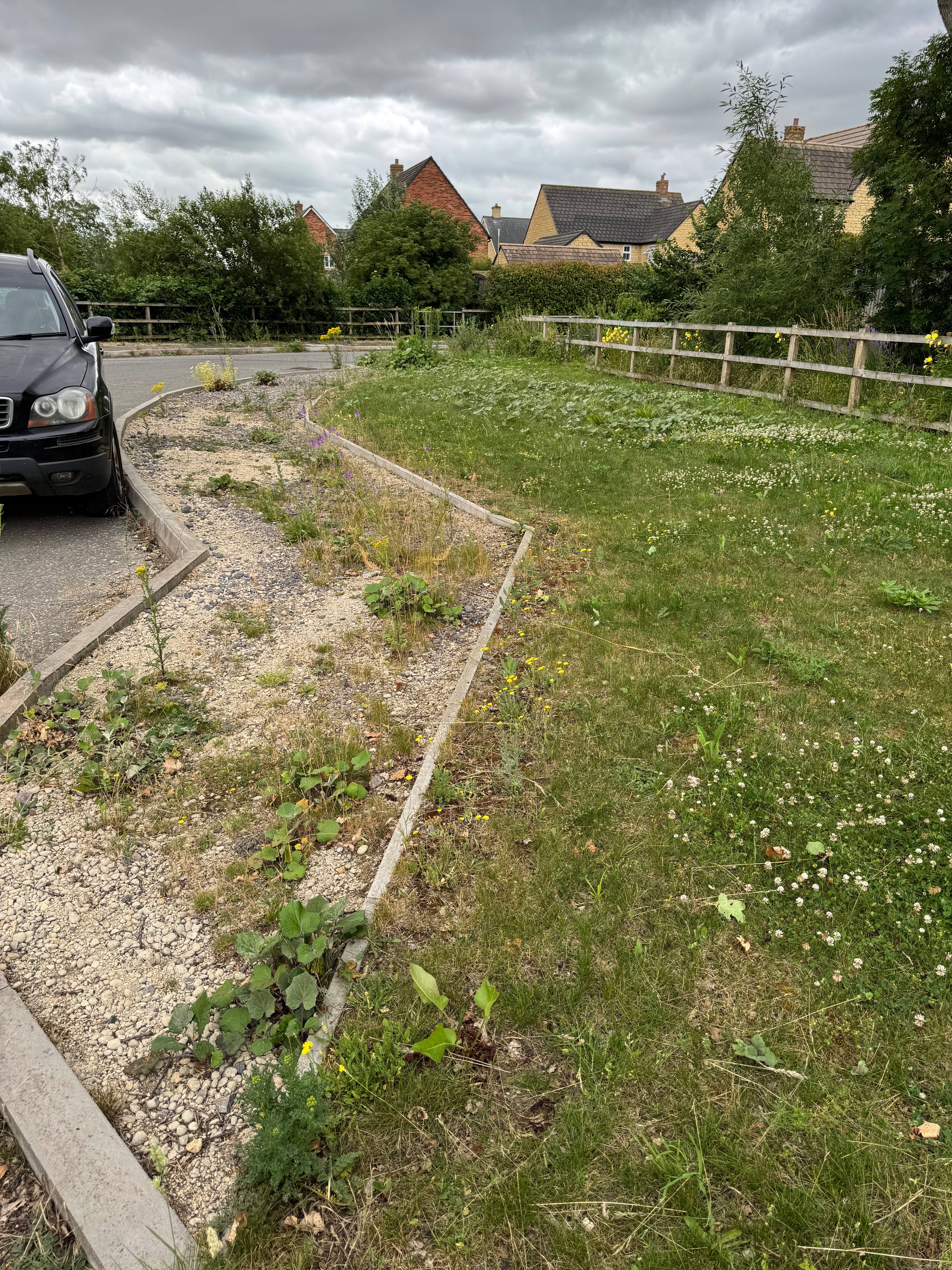 Linden Gardens Road Fund— A request for your support campaign photo, 2 of 8