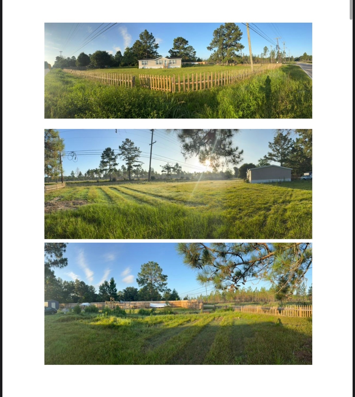 Help Us Build a Living Homestead, Farm & Community Sanctuary campaign photo, 4 of 8