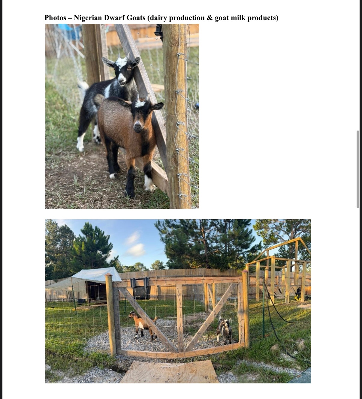 Help Us Build a Living Homestead, Farm & Community Sanctuary campaign photo, 2 of 8
