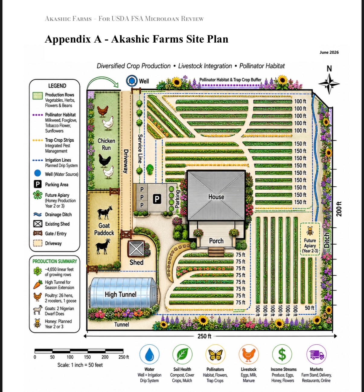 Help Us Build a Living Homestead, Farm & Community Sanctuary campaign photo, 5 of 8