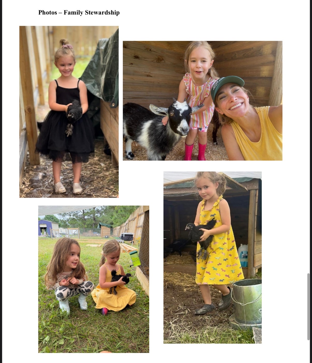 Help Us Build a Living Homestead, Farm & Community Sanctuary campaign photo, 6 of 8