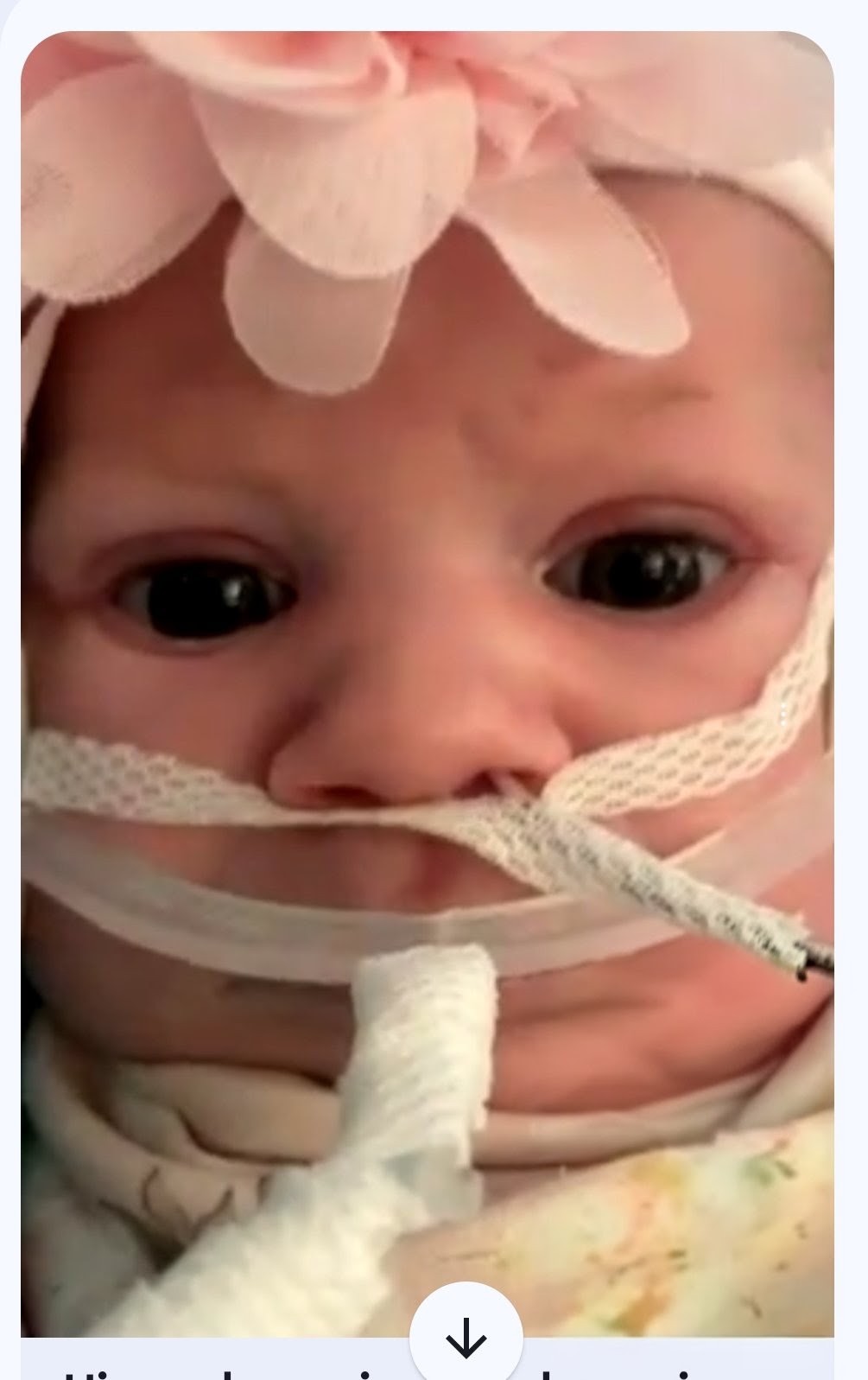$upport for Harper Jade's Family campaign photo, 2 of 7