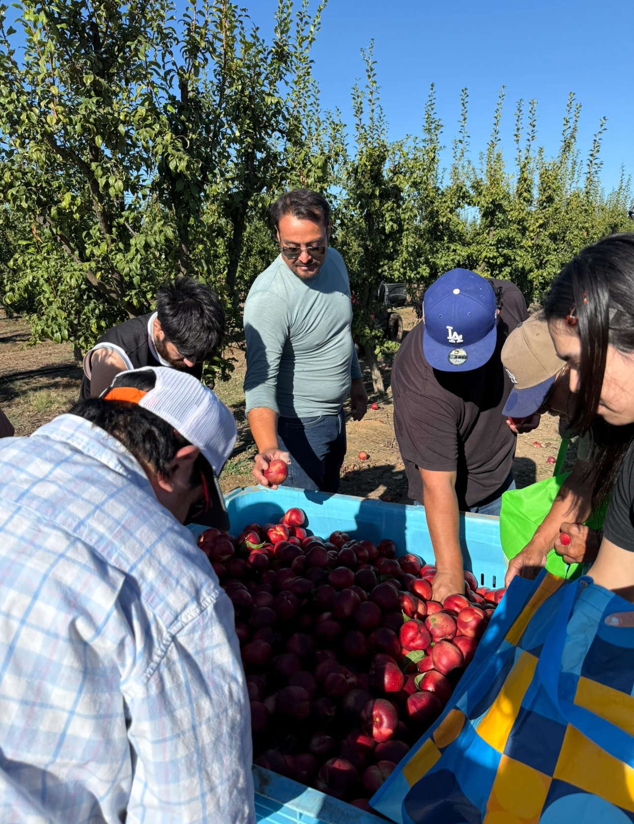 Support Cesar Mora's Fight for His Orchard campaign photo, 6 of 8