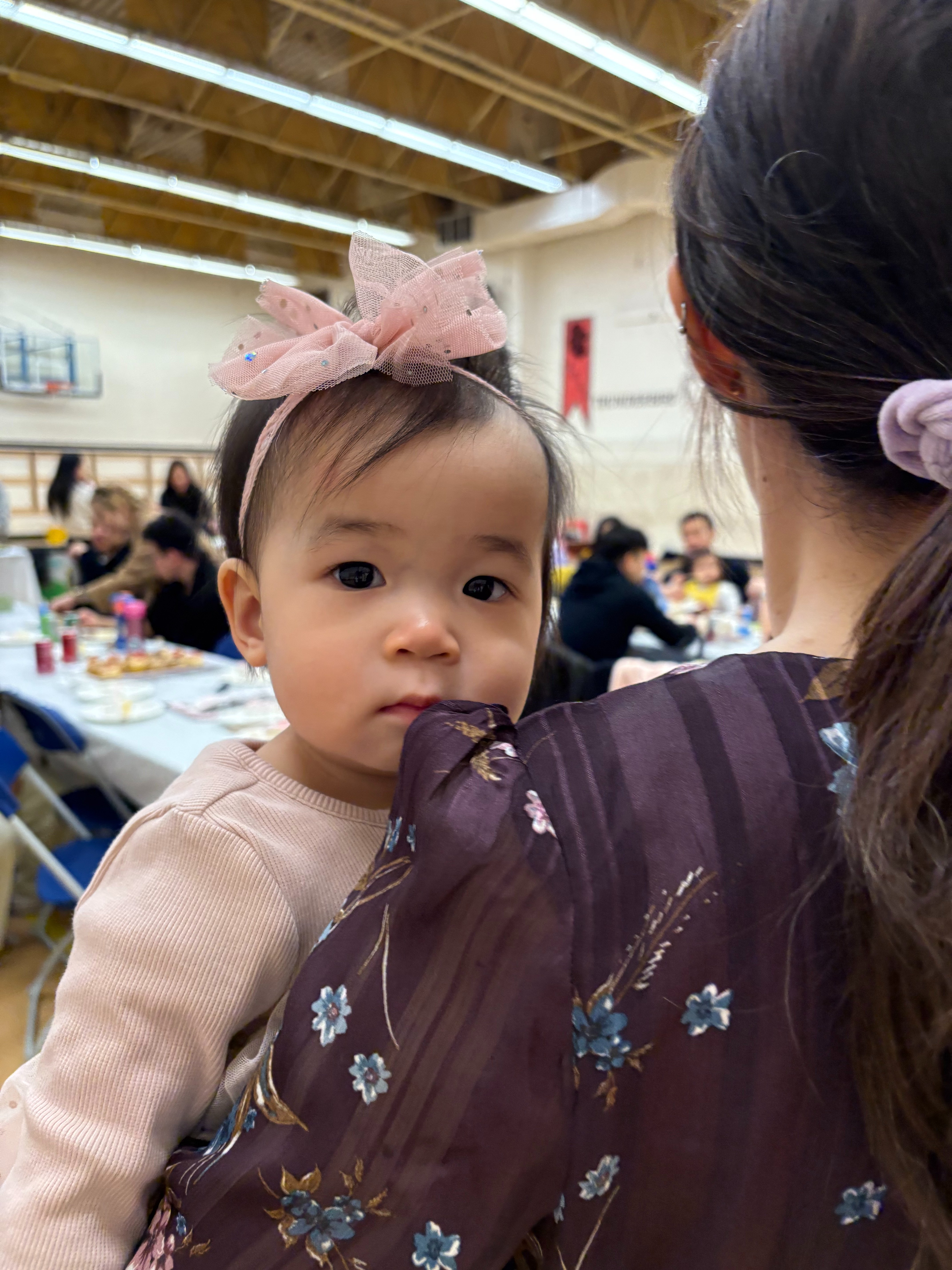 Support Isabelle's Journey to give her the Best Chance campaign photo, 2 of 10