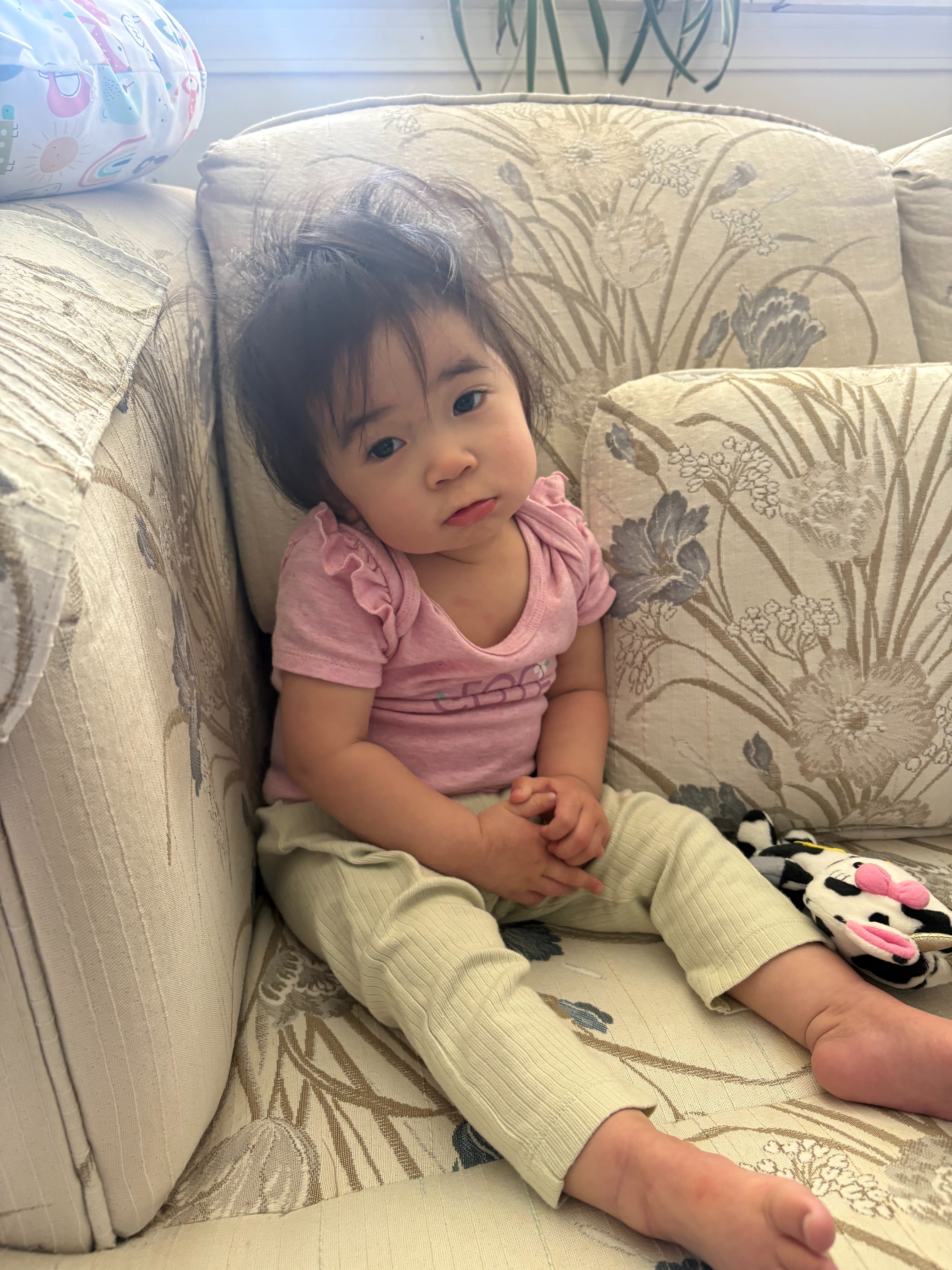 Support Isabelle's Journey to give her the Best Chance campaign photo, 6 of 10