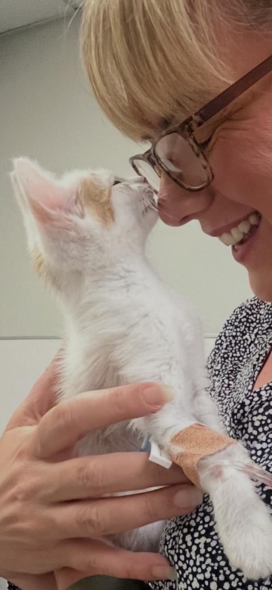 Save Baby Pezzle 9 weeks old in heart failure campaign photo, 2 of 8