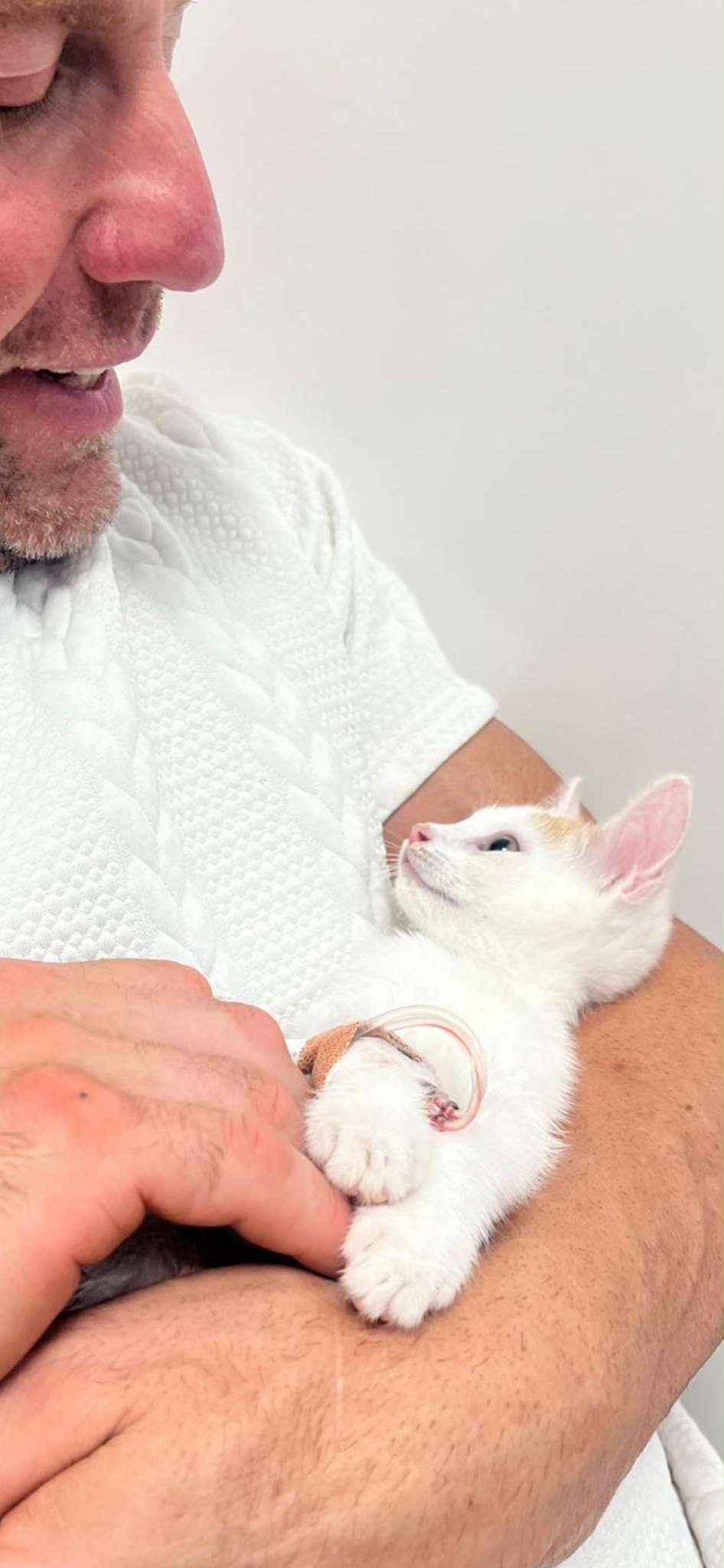 Save Baby Pezzle 9 weeks old in heart failure campaign photo, 4 of 8