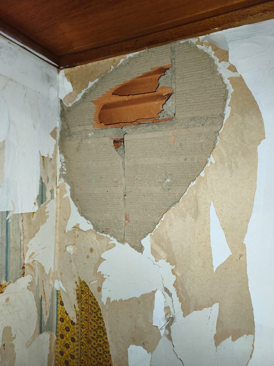 Help my family repair their home after Venezuela earthquakes campaign photo, 7 of 8