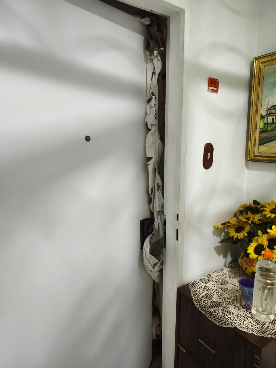 Help my family repair their home after Venezuela earthquakes campaign photo, 4 of 8