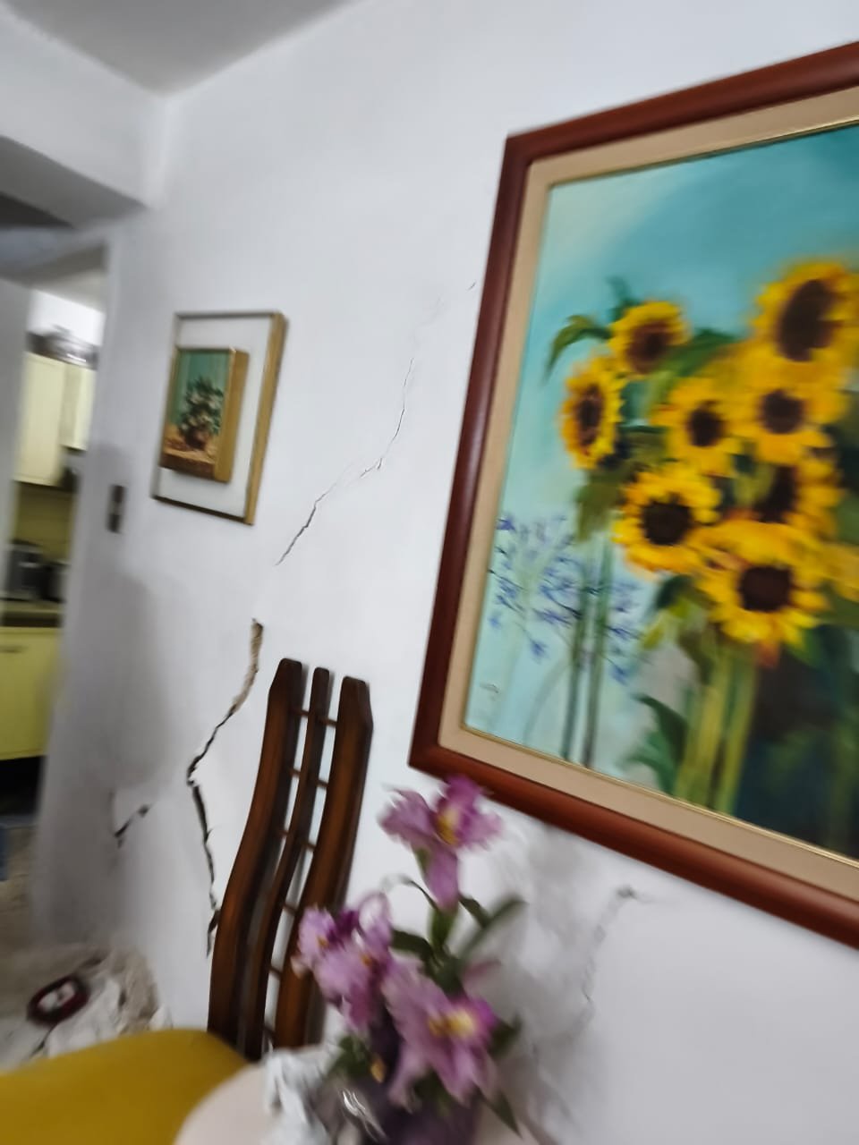 Help my family repair their home after Venezuela earthquakes campaign photo, 6 of 8