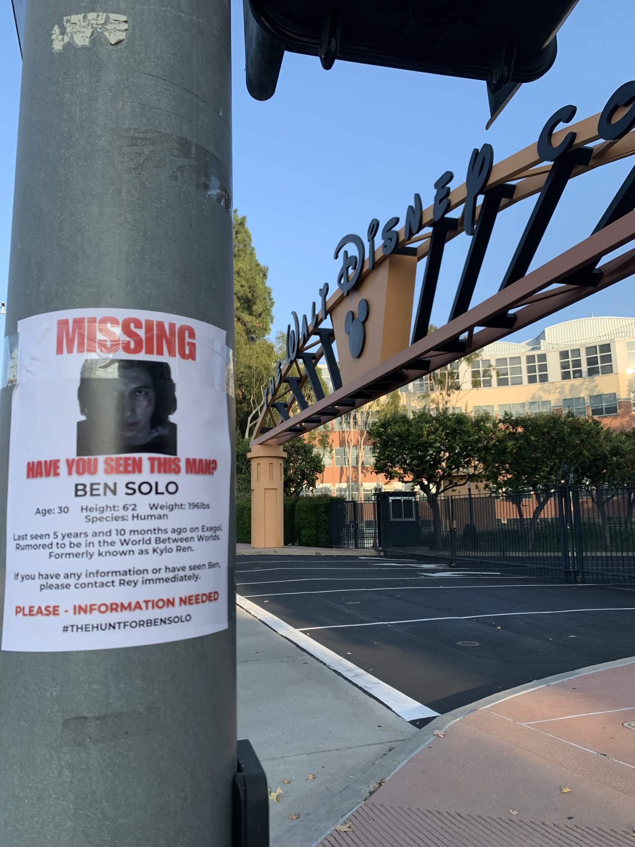 Help Us Show Disney We Want Ben Solo's Return! campaign photo, 5 of 8