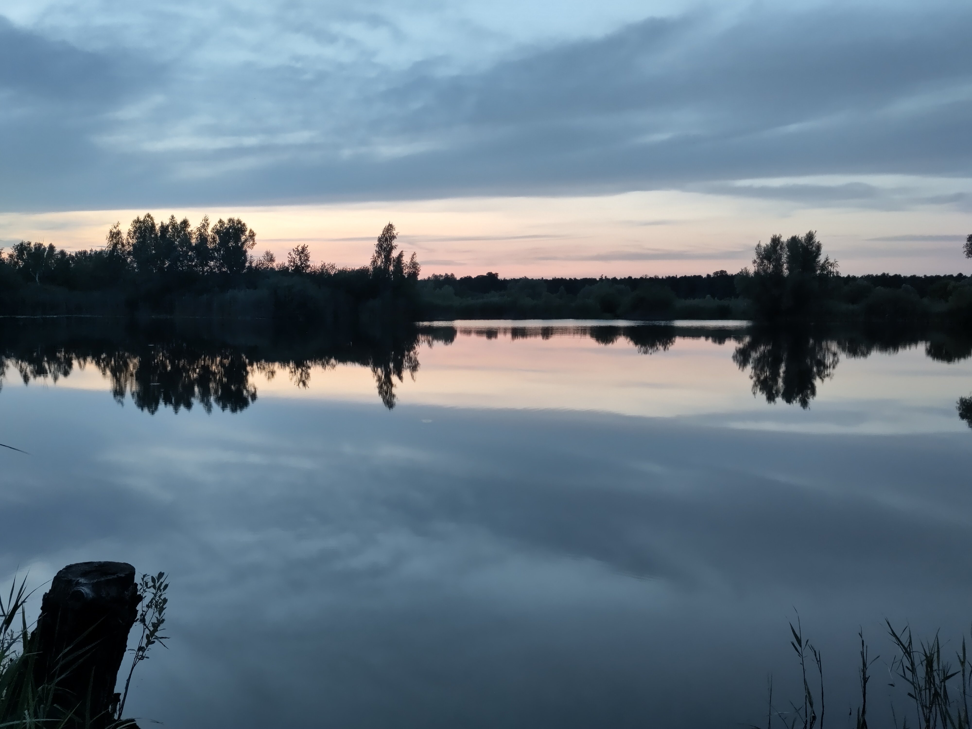 Foto de la campaña Guardians of the Elbe Valley, 7 de 8