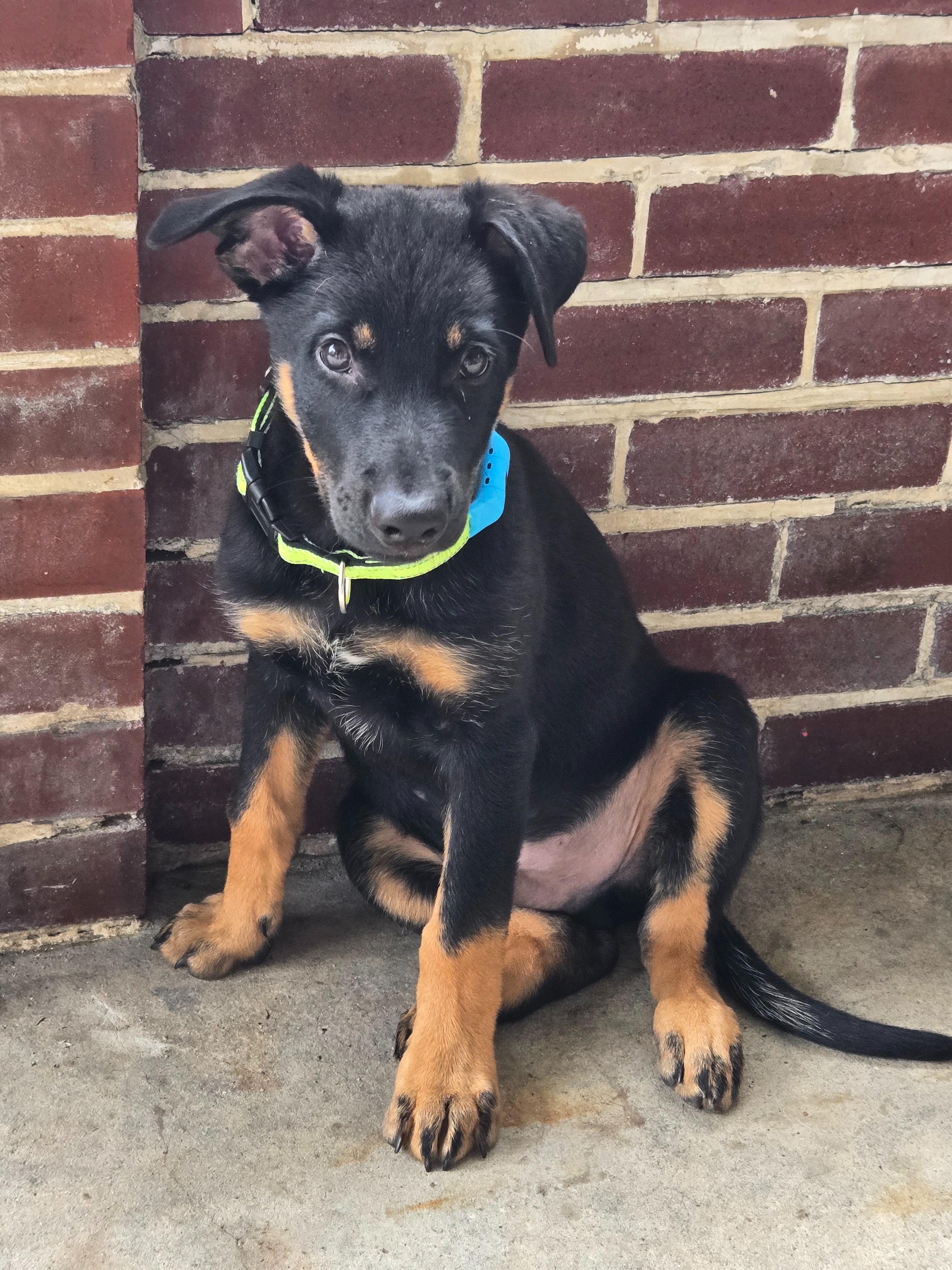 Help Atlas Get Lifesaving Heart Care campaign photo, 6 of 8