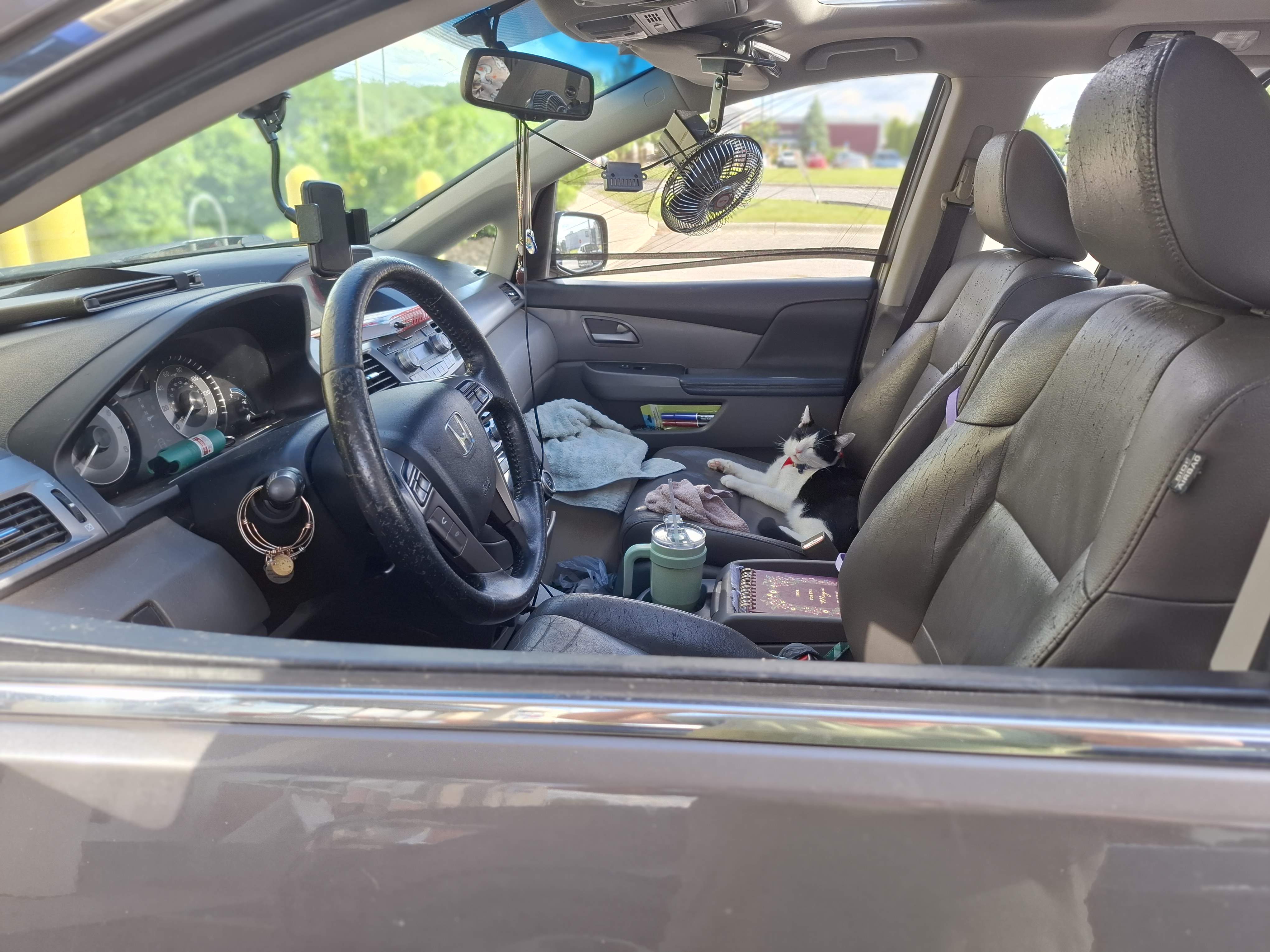 please help senior needs car repairs. campaign photo, 4 of 5