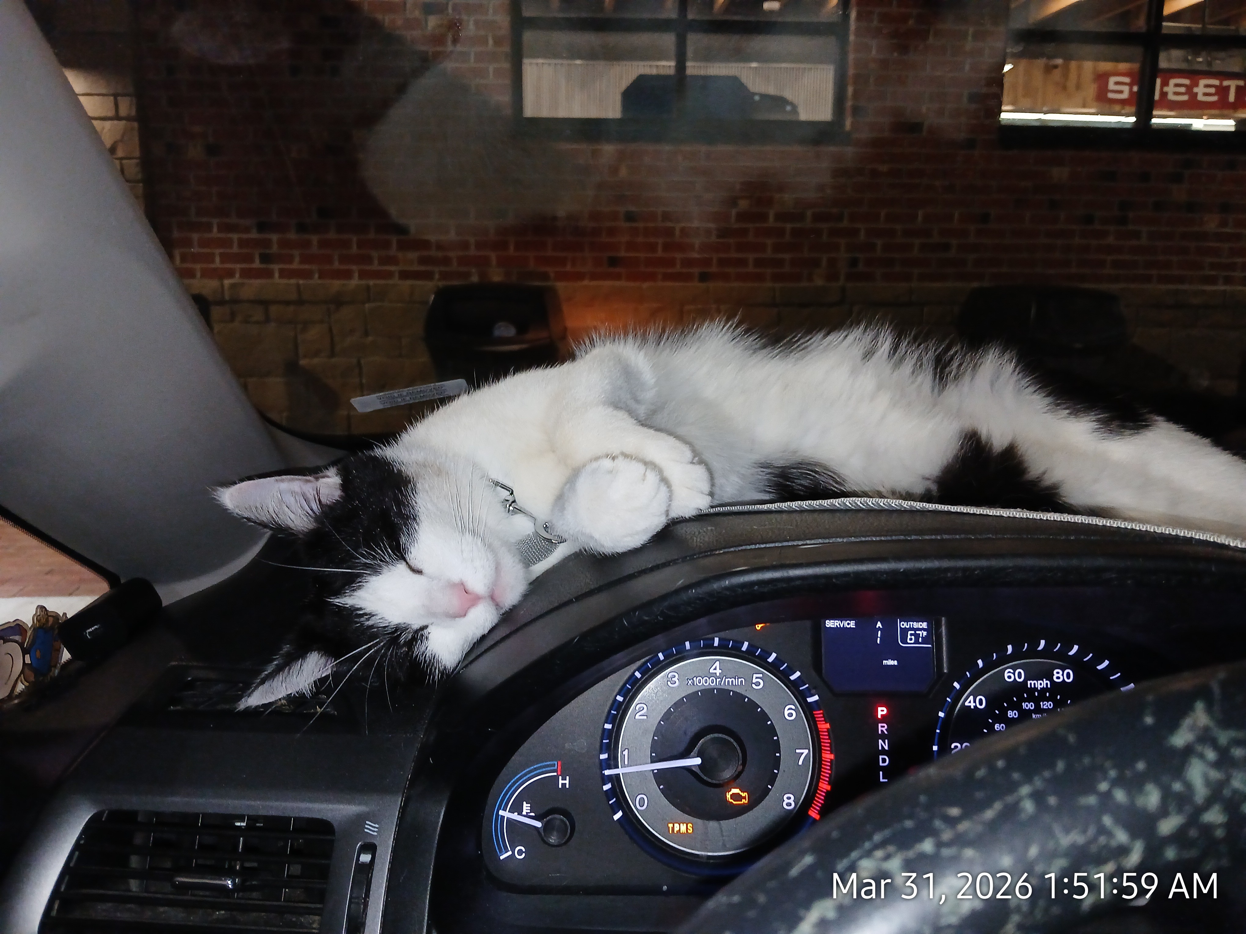 please help senior needs car repairs. campaign photo, 2 of 5