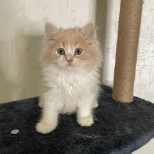 Celebrate My Birthday by Supporting Pasadena Humane campaign photo, 5 of 6