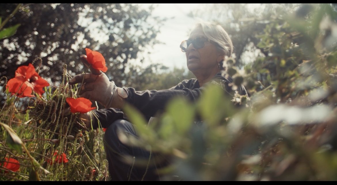 Help Us Bring Pasadena Gardens to Our Community campaign photo, 2 of 8