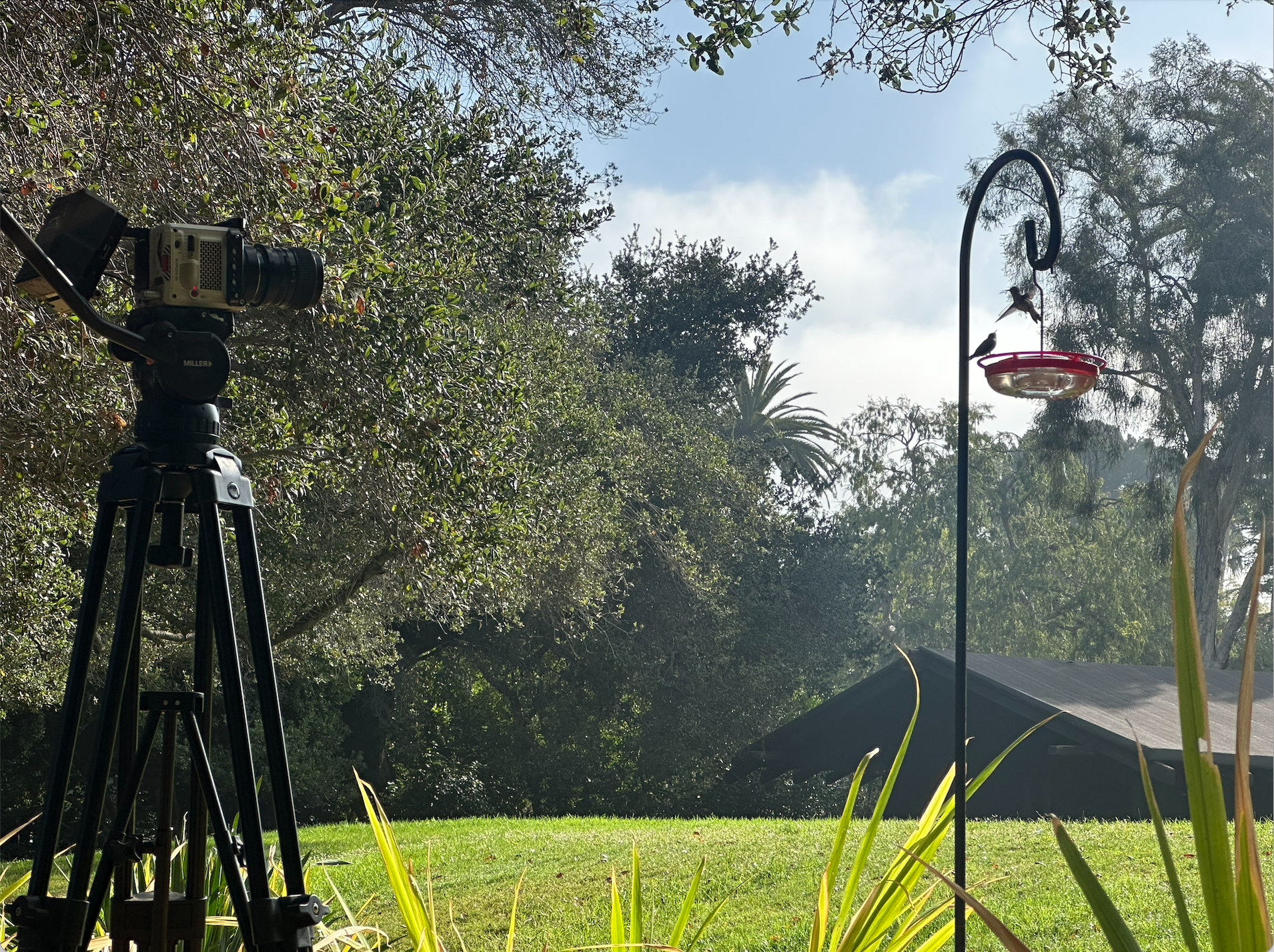 Help Us Bring Pasadena Gardens to Our Community campaign photo, 6 of 8