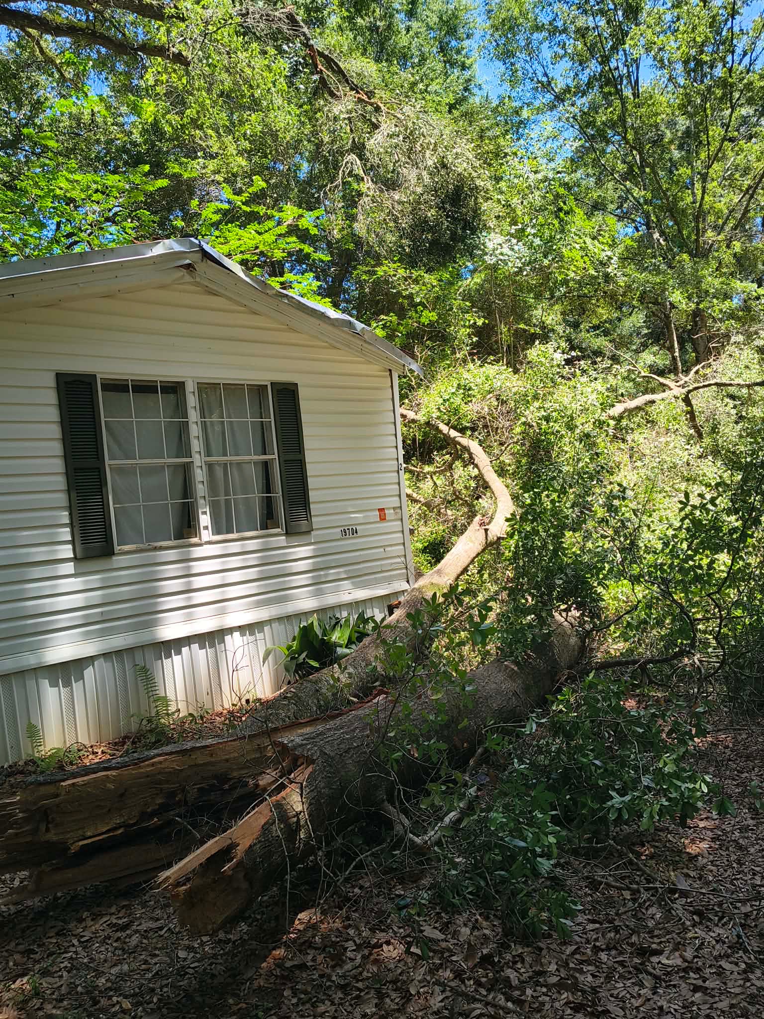 Surviving after Hardship : Keeping a roof over our head campaign photo, 4 of 5