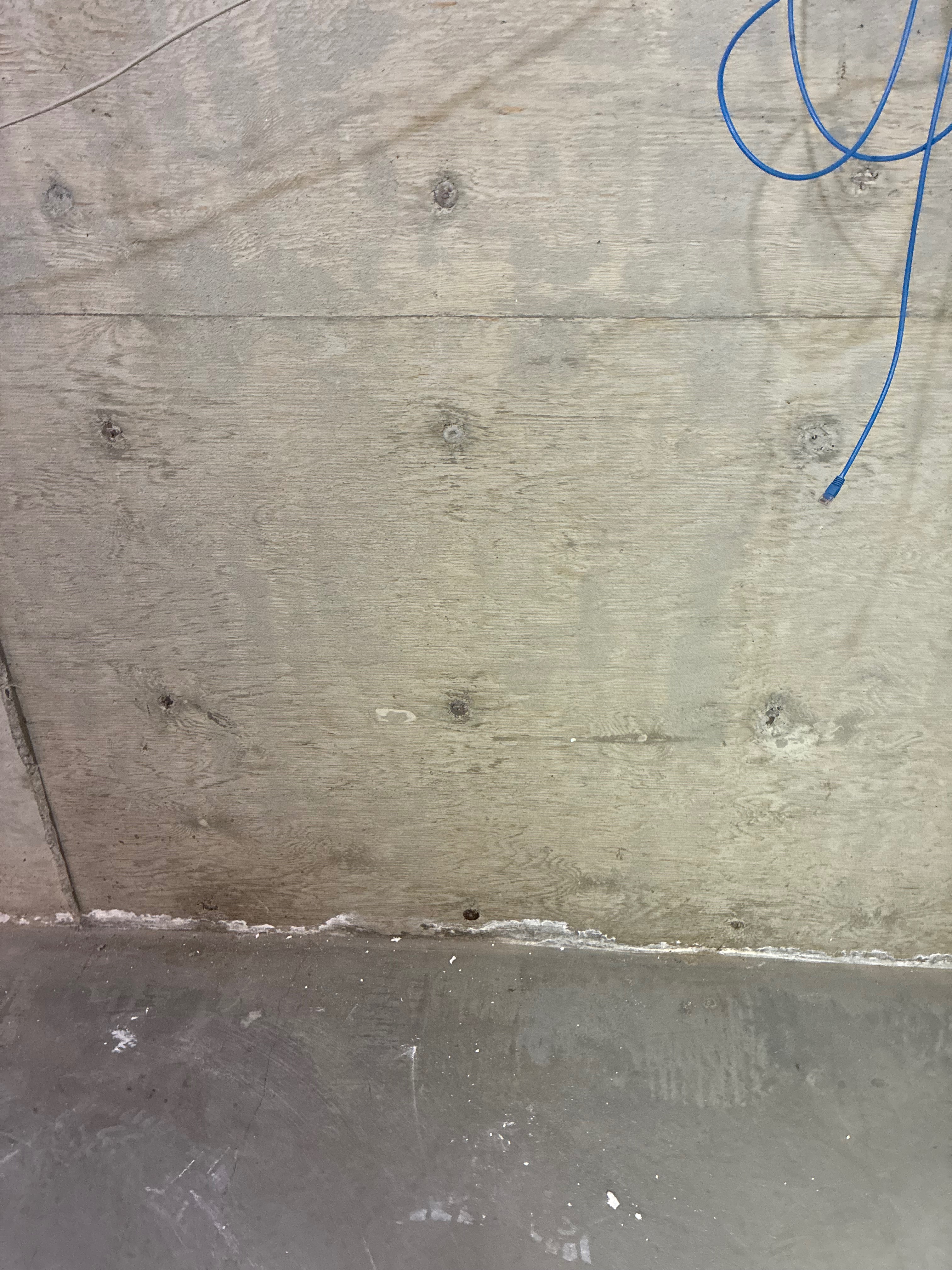 Help Us Finish Restoring Our Home from Mold Damage campaign photo, 6 of 7