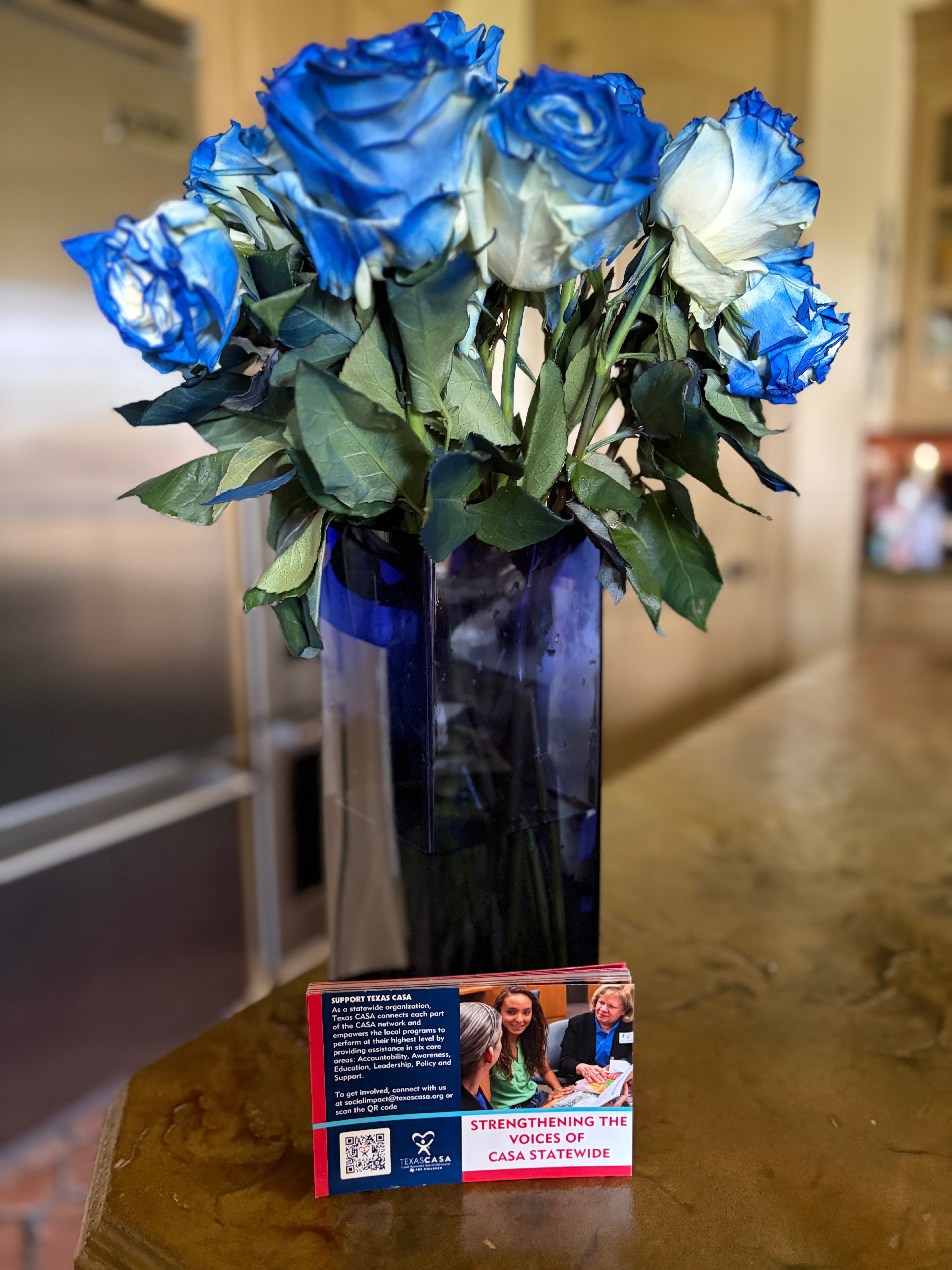 Honor a Life by Supporting Texas CASA's Mission campaign photo, 2 of 5