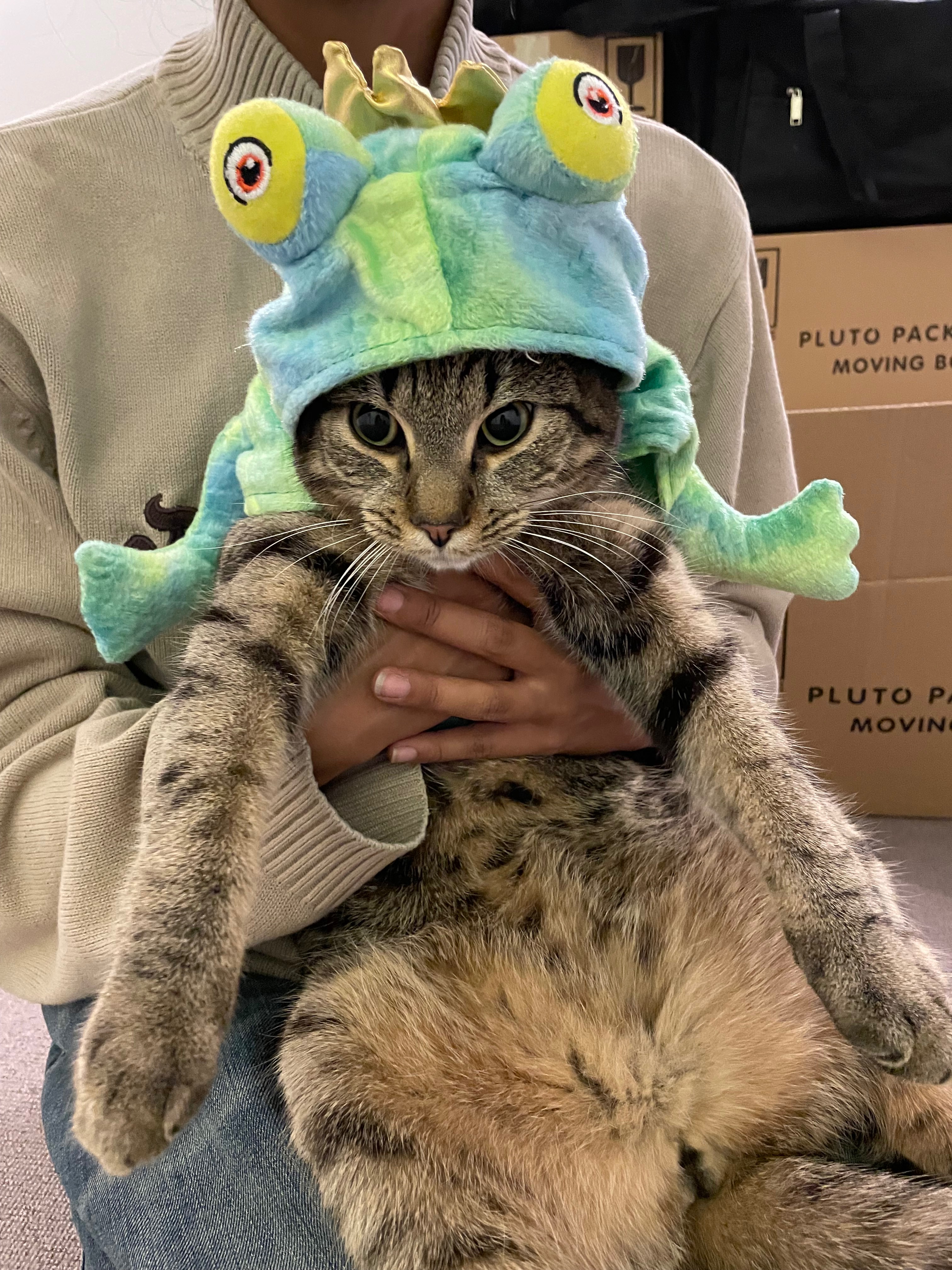 Rascal’s Second Chance — Emergency Surgery Fund campaign photo, 6 of 8