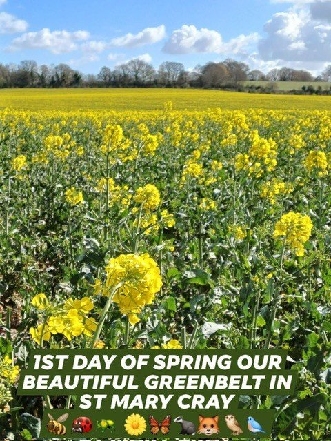 Save St Mary Cray Greenbelt campaign photo, 2 of 8
