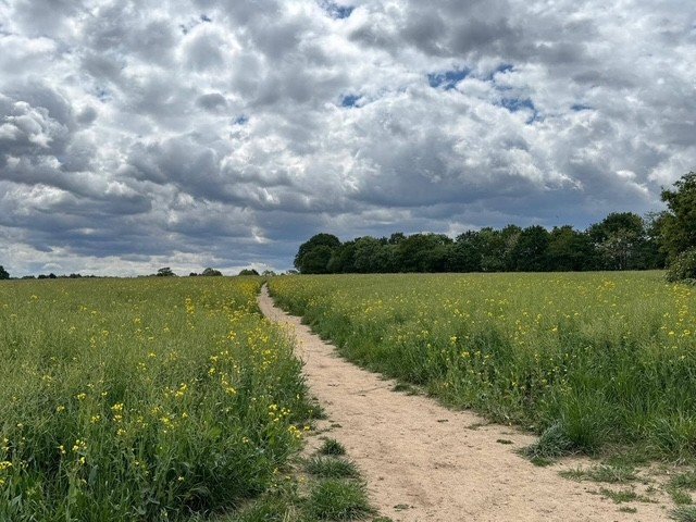 Save St Mary Cray Greenbelt campaign photo, 5 of 8