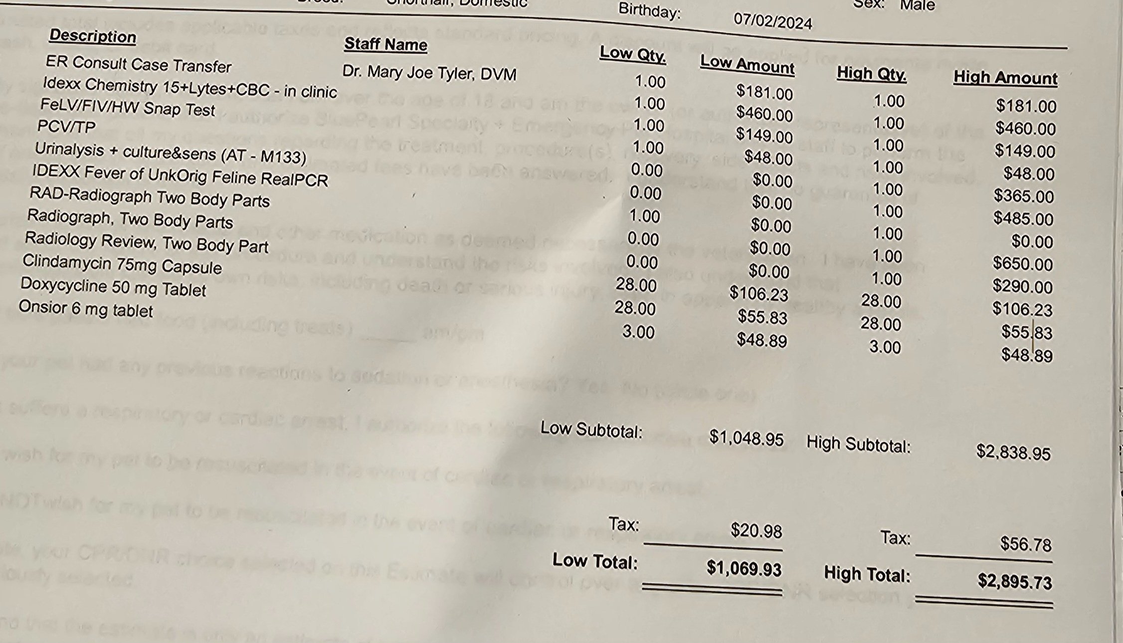 Fundraiser by Christopher Pak : Help Zoro Get Medical Care and a
