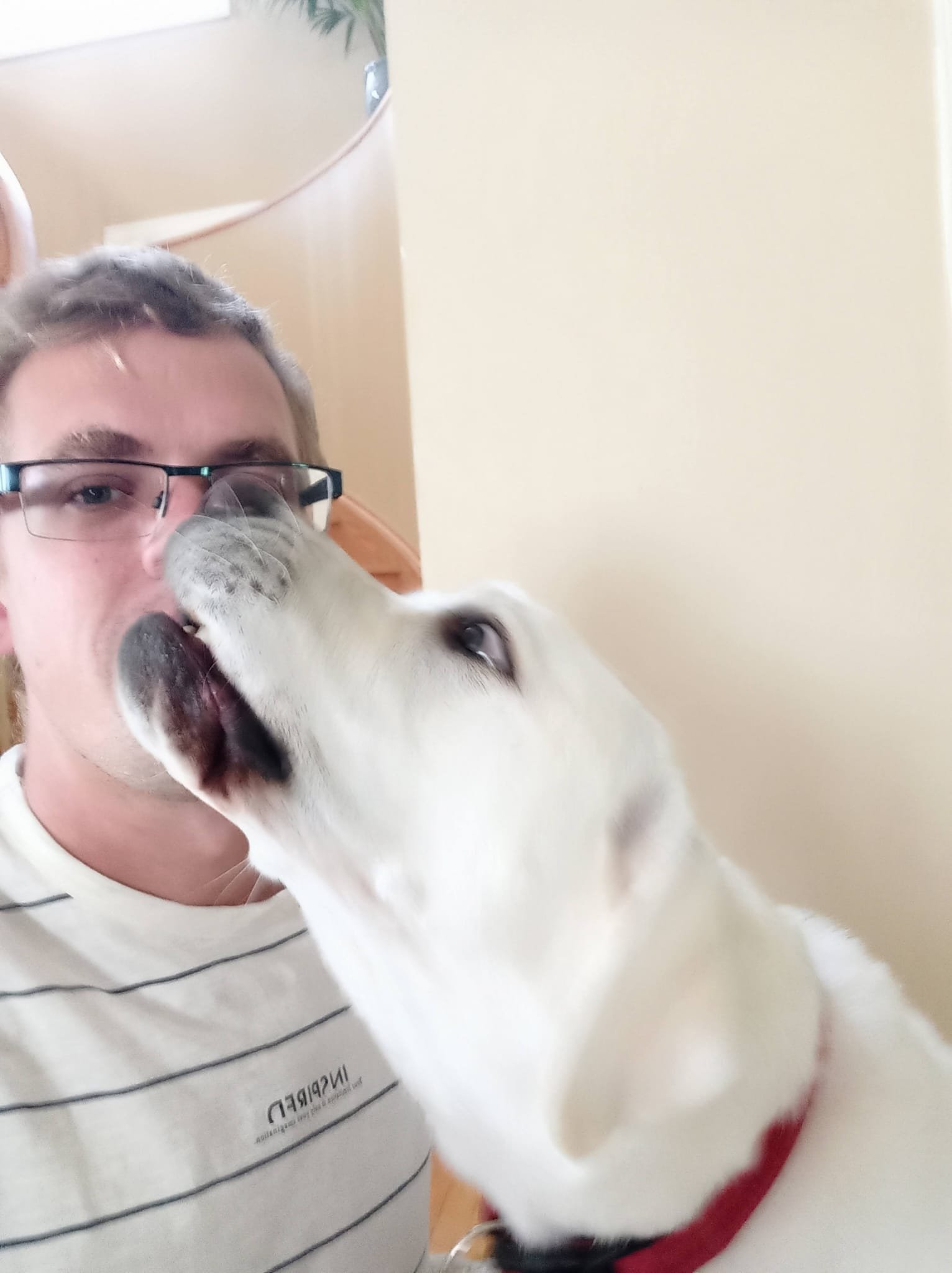 My dog has cancer in his leg and it needs to be amputated campaign photo, 2 of 7