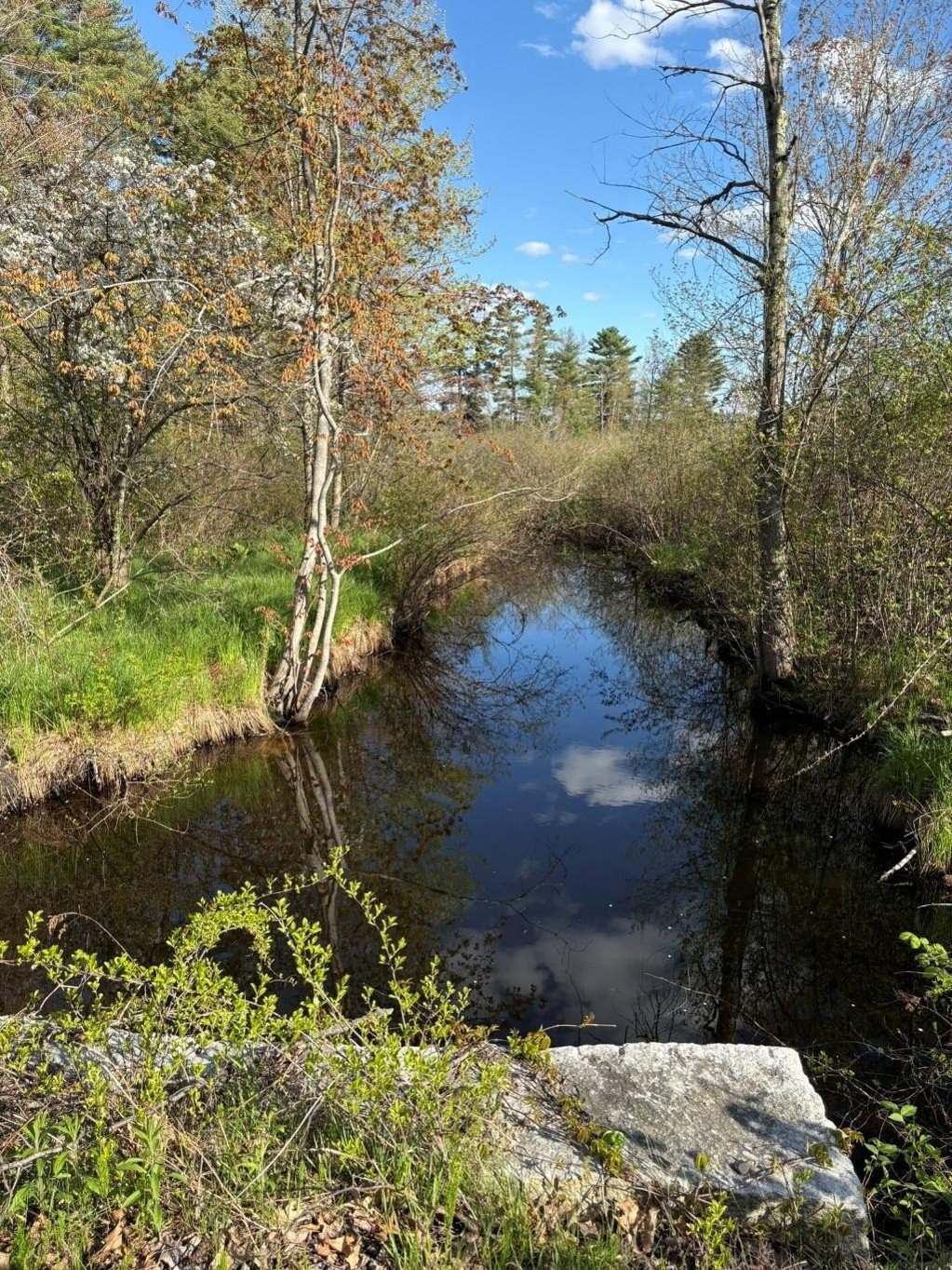 Save Lake Massabesic from Overlook Estates campaign photo, 4 of 8