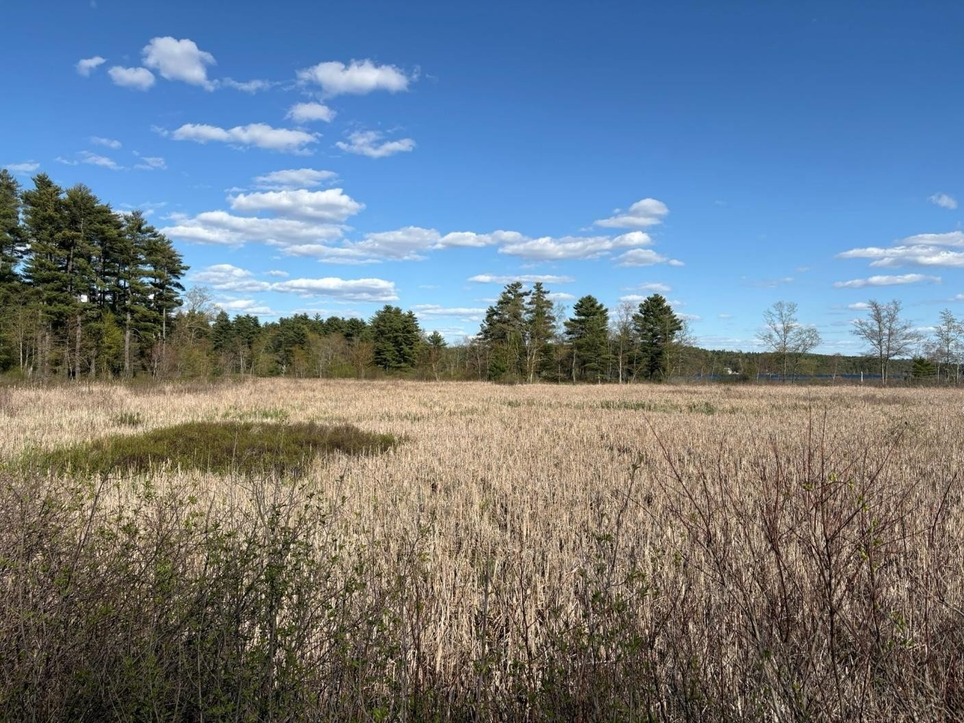 Save Lake Massabesic from Overlook Estates campaign photo, 5 of 8