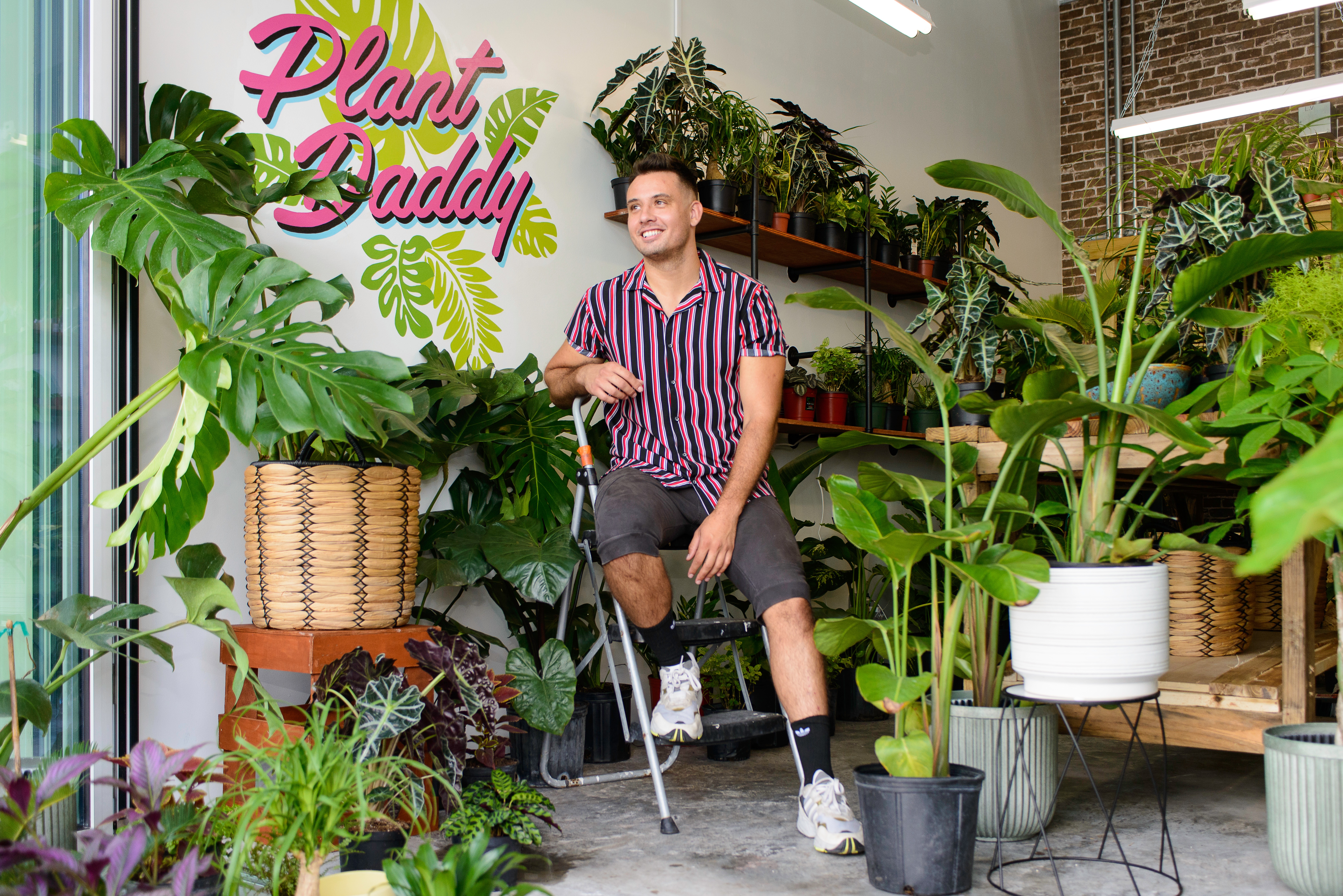 Help Plant Daddy Relocate & Survive! campaign photo, 2 of 6