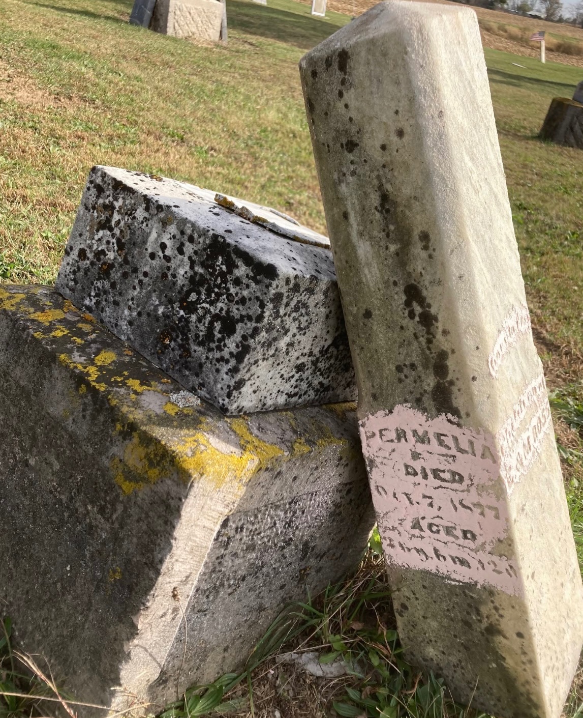 Help Us Restore Dignity to Middle Creek Cemetery campaign photo, 6 of 7