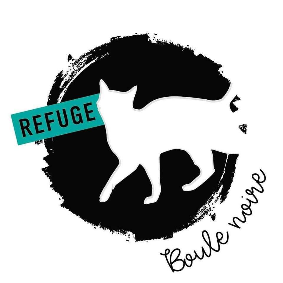 Kampagnen-Foto für Le refuge boule noire a besoin de vous, 6 von 7