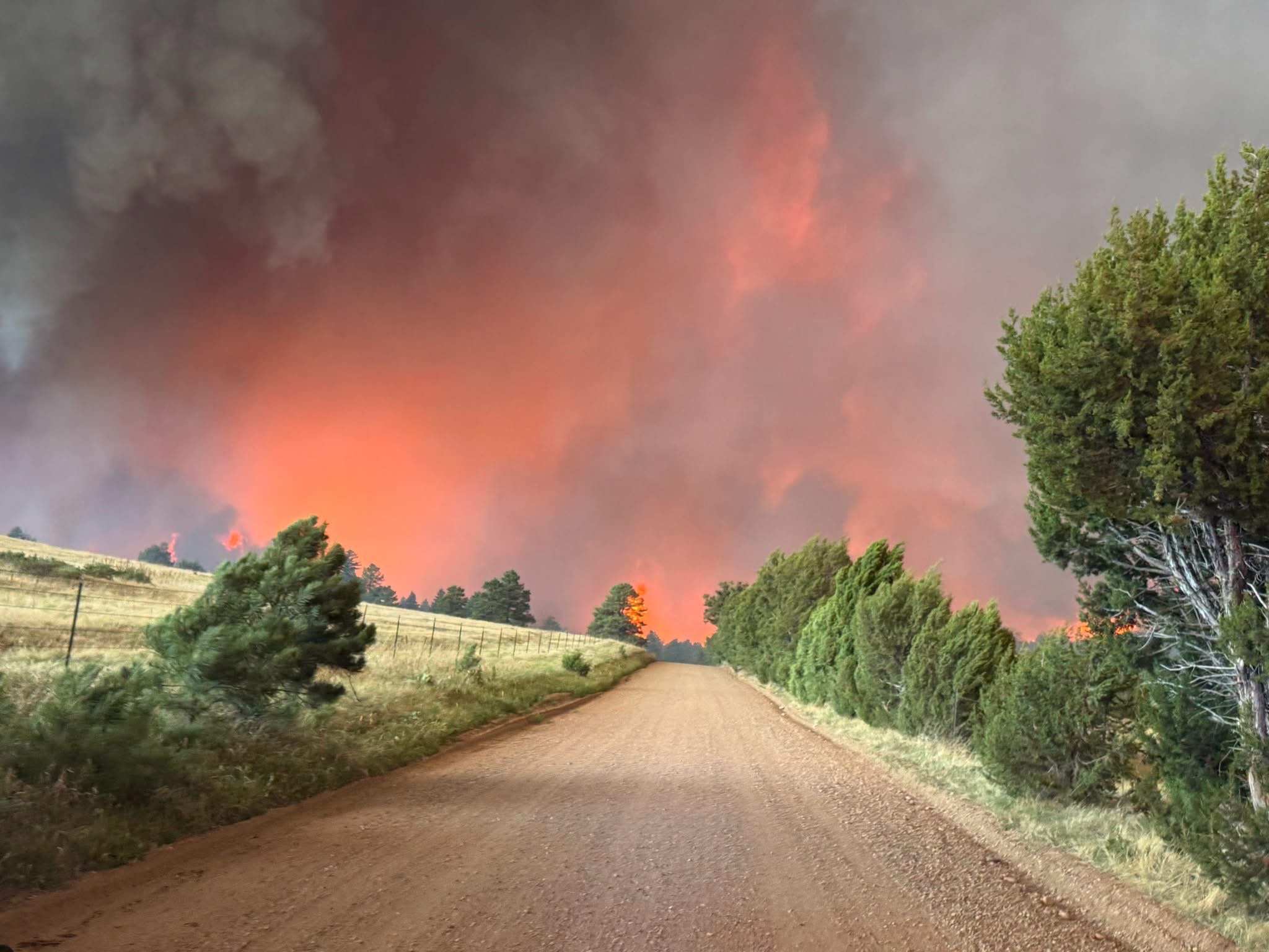 Support Sharon After Aspen Acres Fire Evacuation campaign photo, 2 of 7