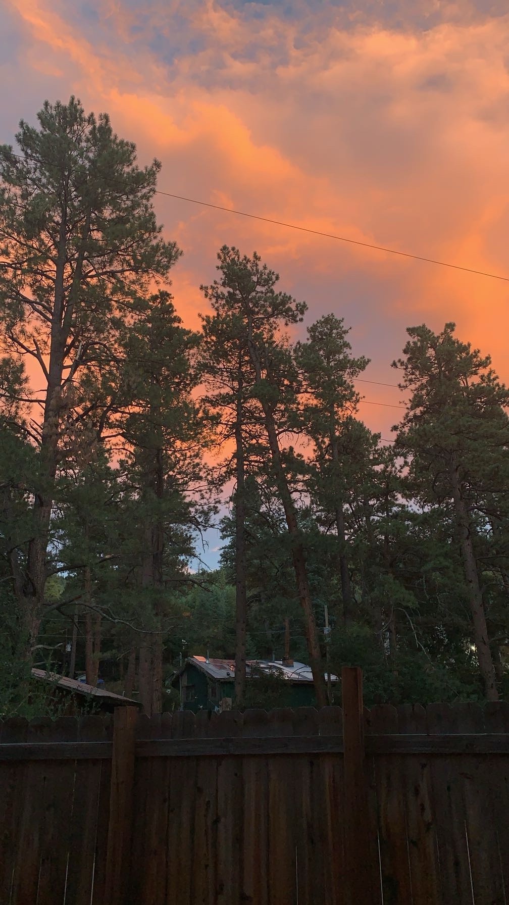 Help Layla Rebuild After Aspen Wildfire campaign photo, 7 of 8