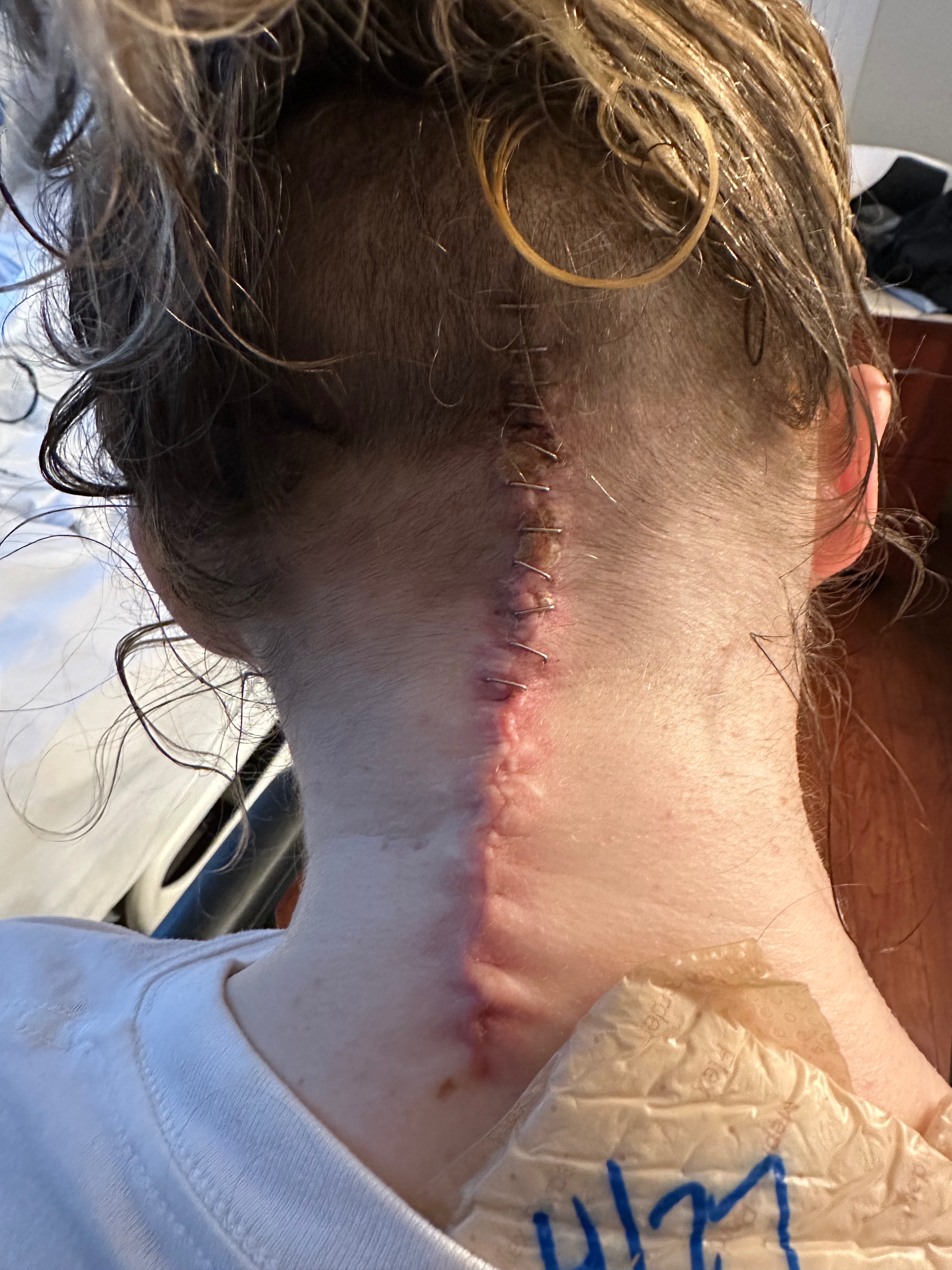 Support Danielle's Journey to Independence and Healing campaign photo, 7 of 8