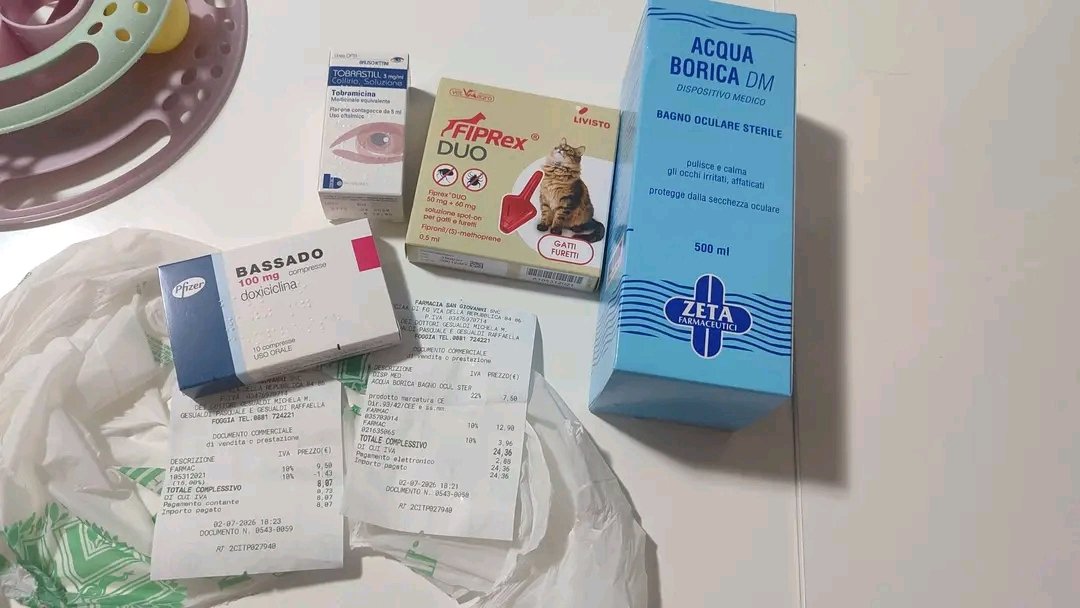 Foto della campagna SALVATI DALLA STRADA E ORA RISCHIANO LA VITA, 2 di 8