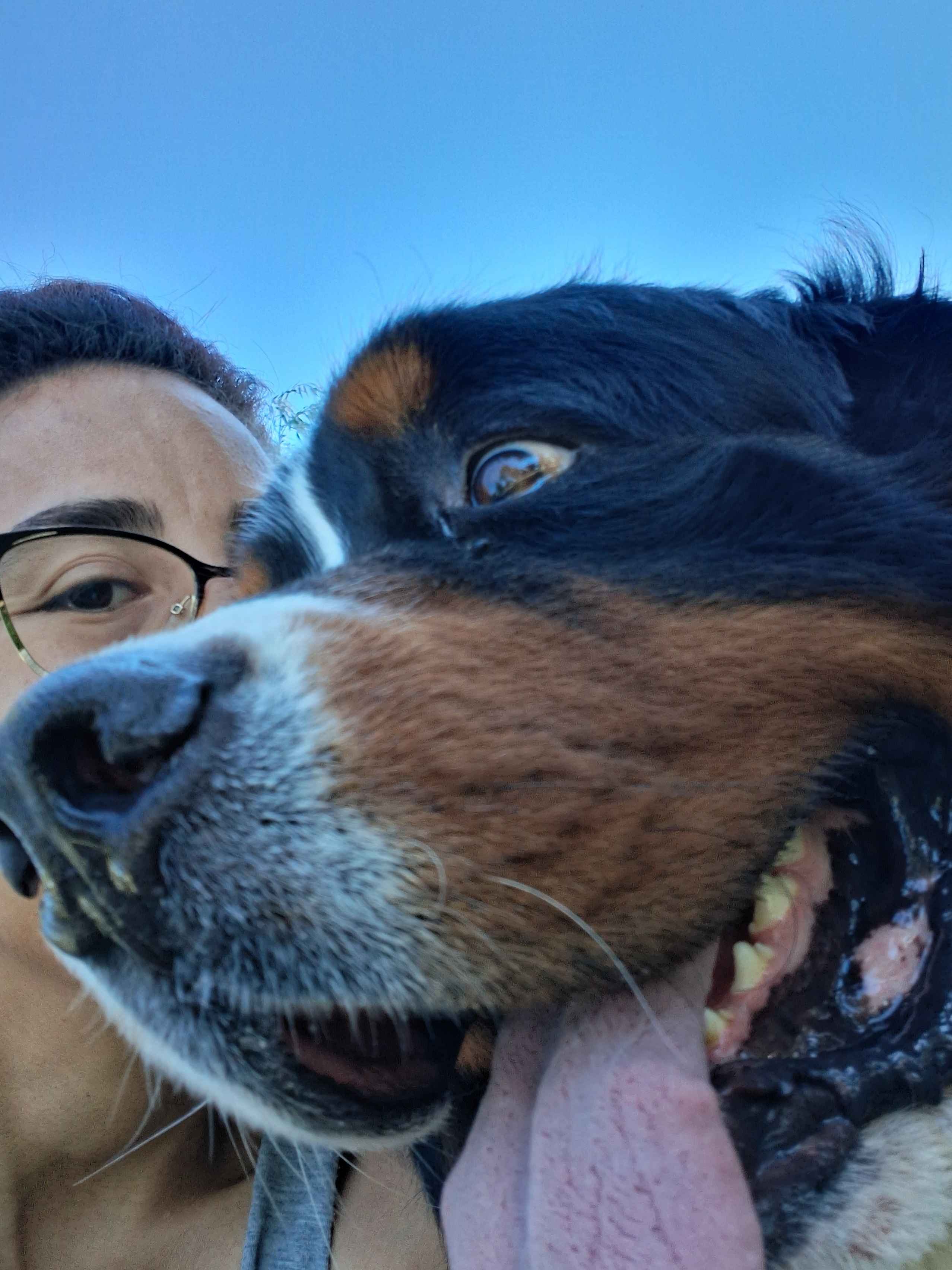 Help Sol Walk Again: ACL Surgery Fundraiser campaign photo, 7 of 8