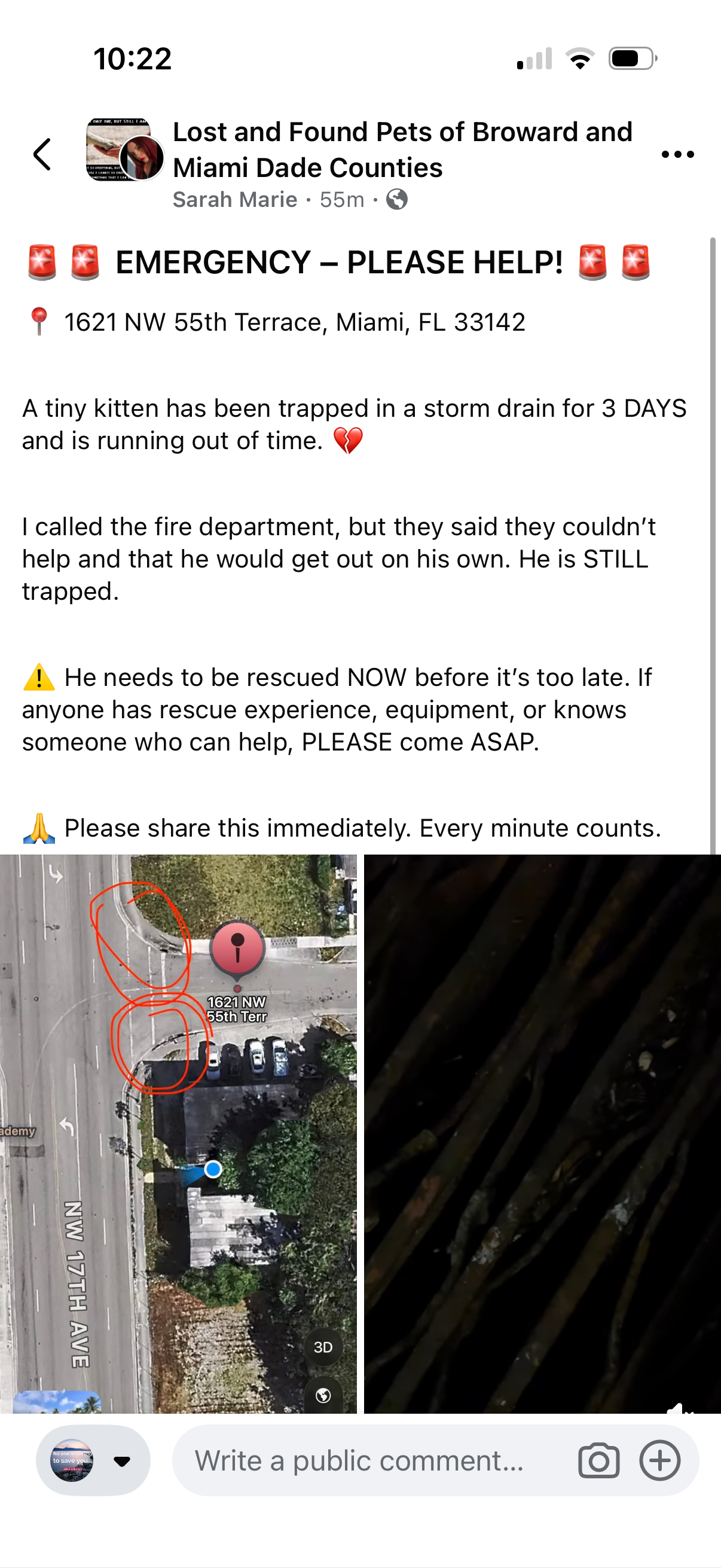 Kitten Saved from a drain in Miami campaign photo, 2 of 4
