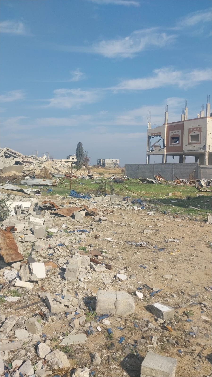help my family survive in Gaza campaign photo, 4 of 6