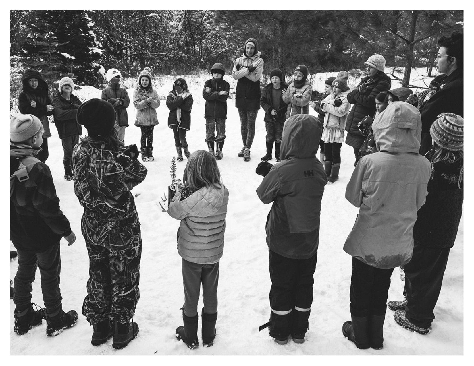 Help Save The Hedge School campaign photo, 6 of 8