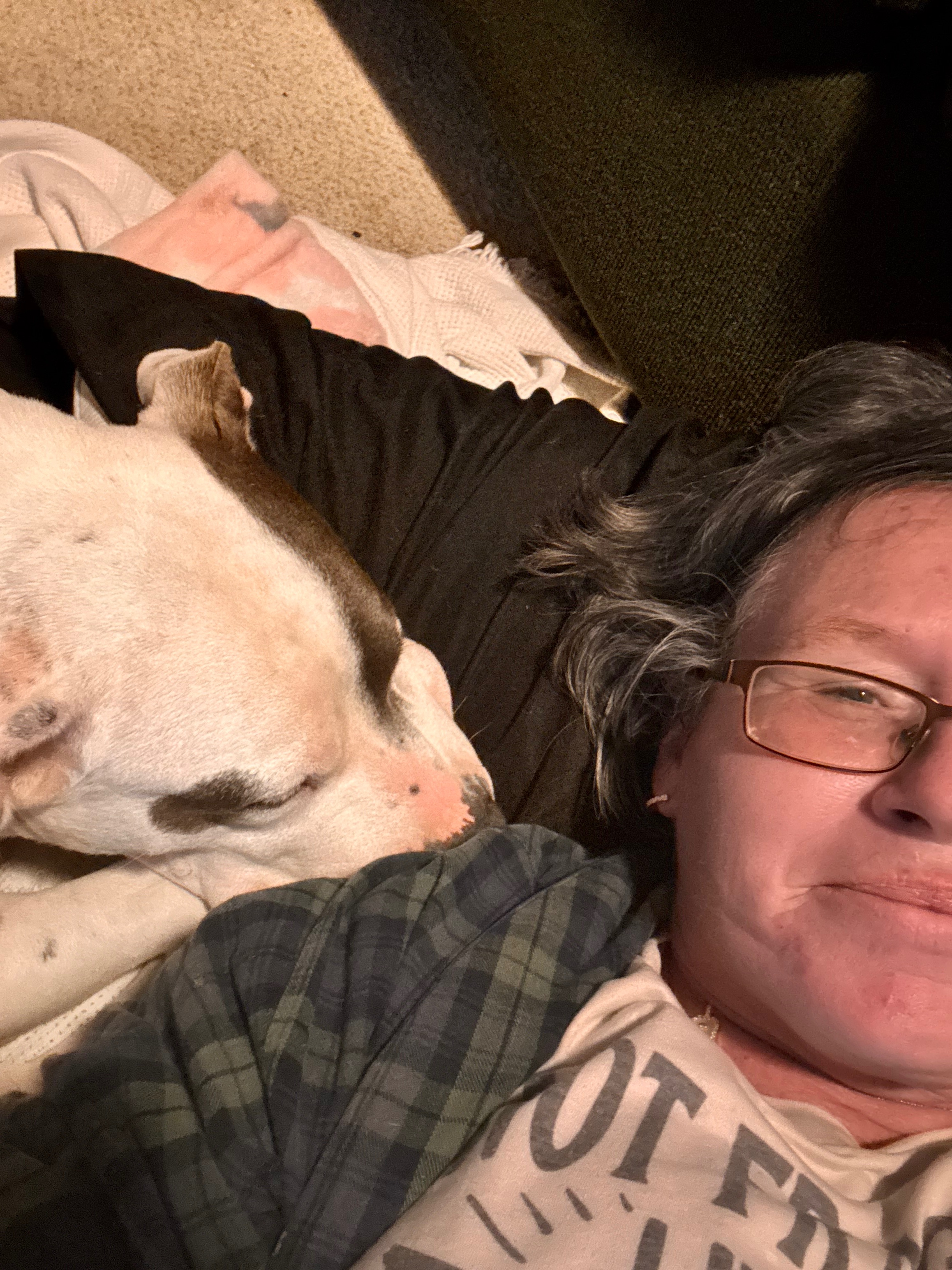Help Shawn & Dog Find Safe Shelter campaign photo, 5 of 8