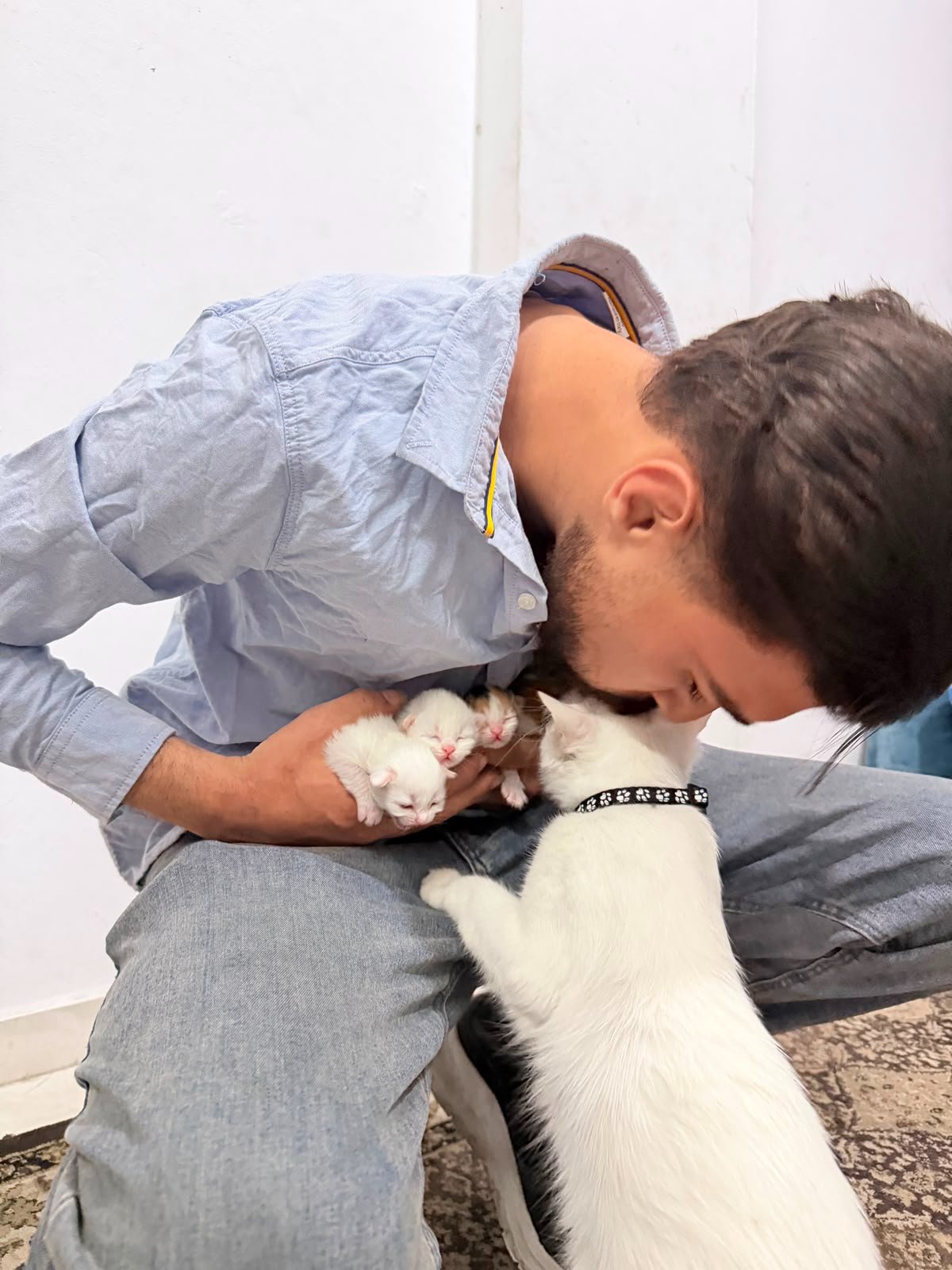Help Abdullah and his Cat Survive campaign photo, 4 of 5