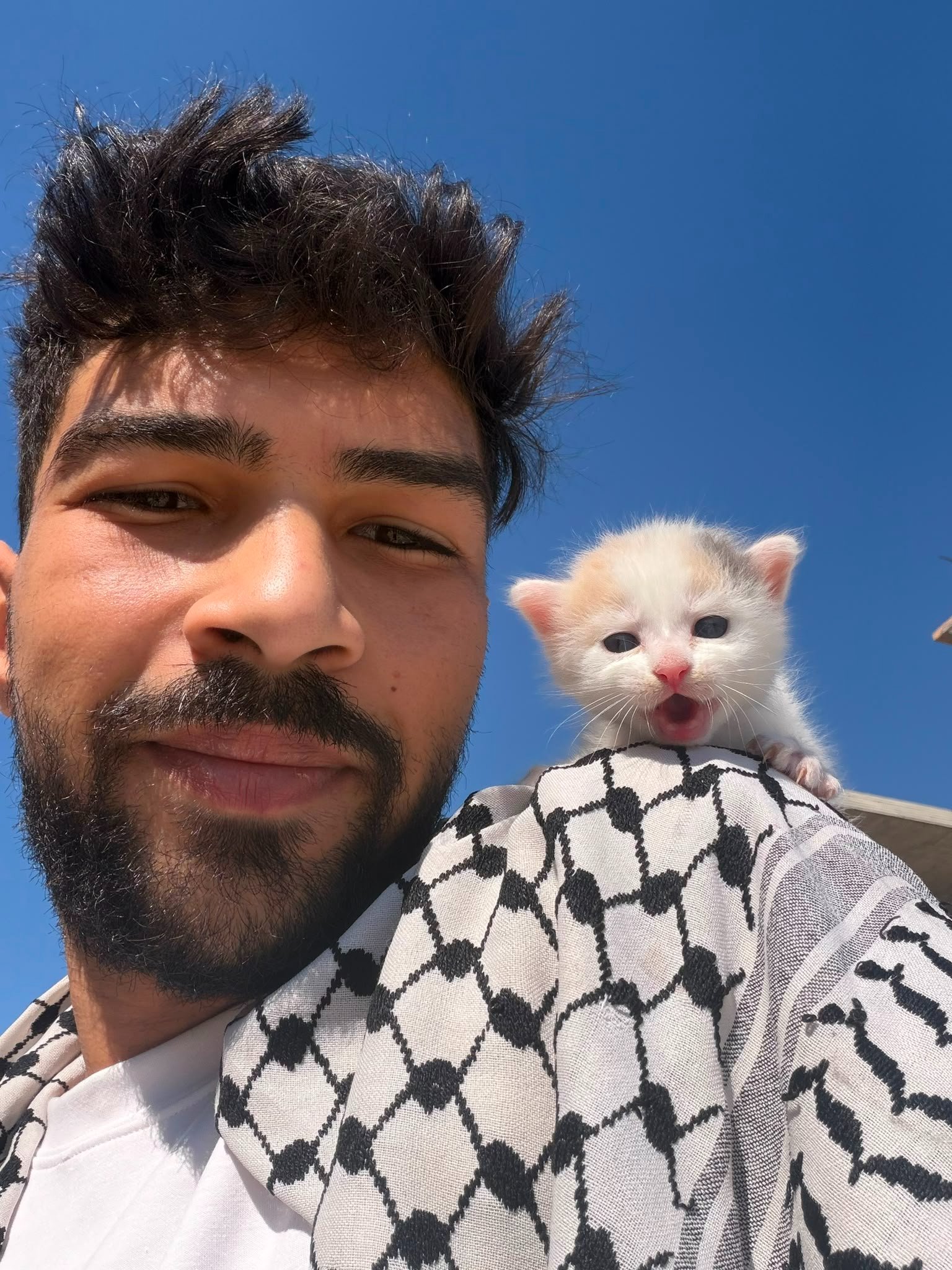 Help Abdullah and his Cat Survive campaign photo, 2 of 5