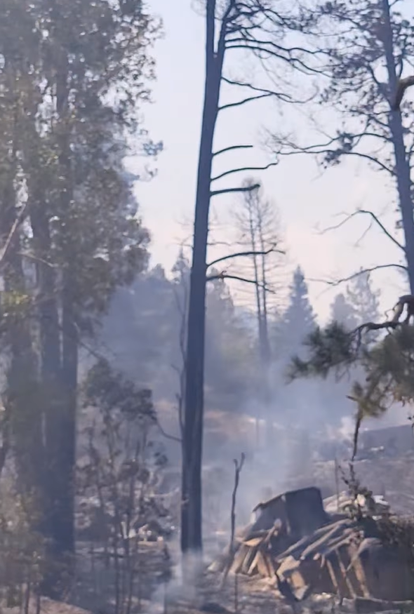 Help the Minerich Family Rebuild After the Aspen Acres Fire campaign photo, 7 of 8