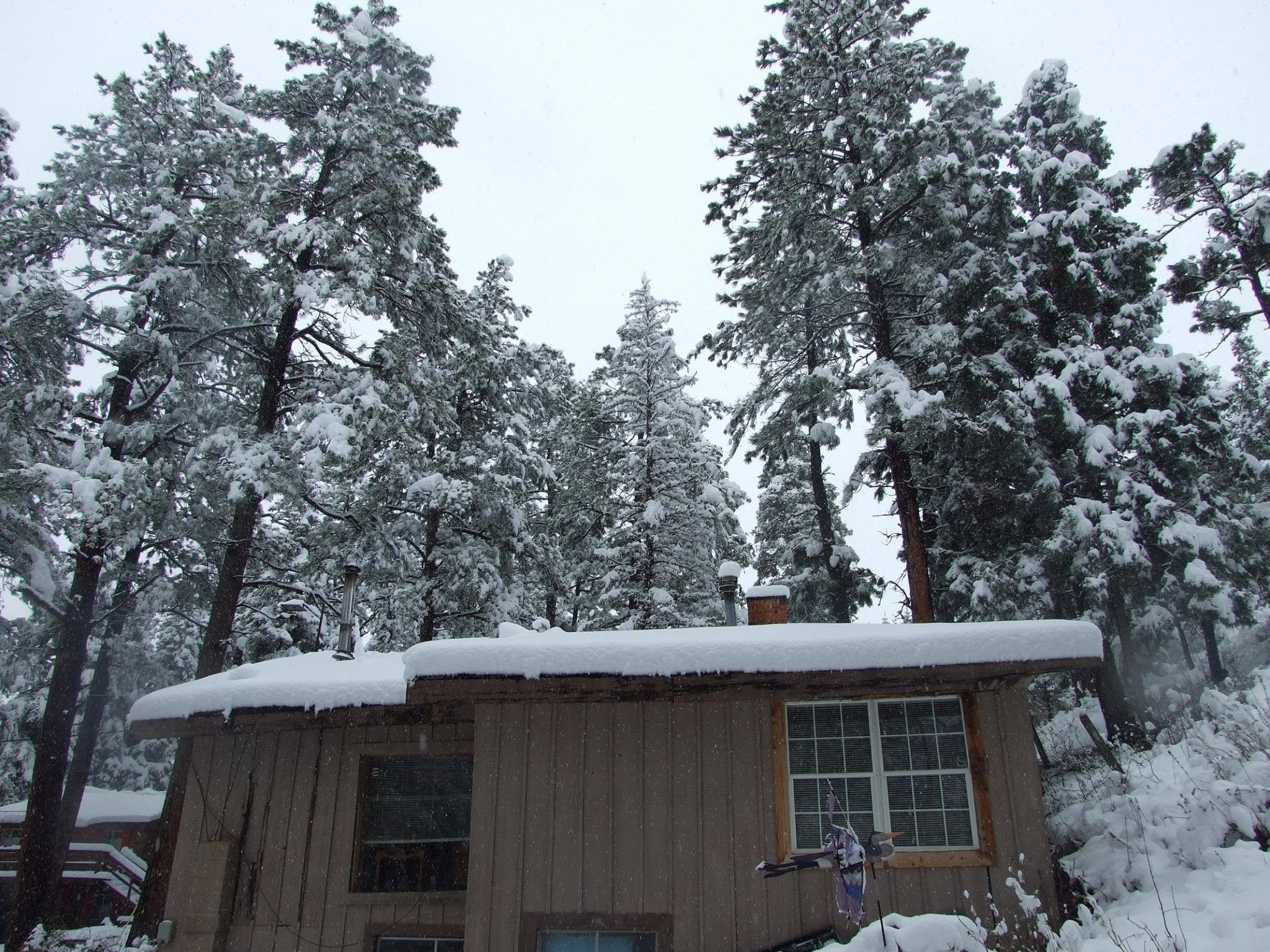 Help the Minerich Family Rebuild After the Aspen Acres Fire campaign photo, 4 of 8
